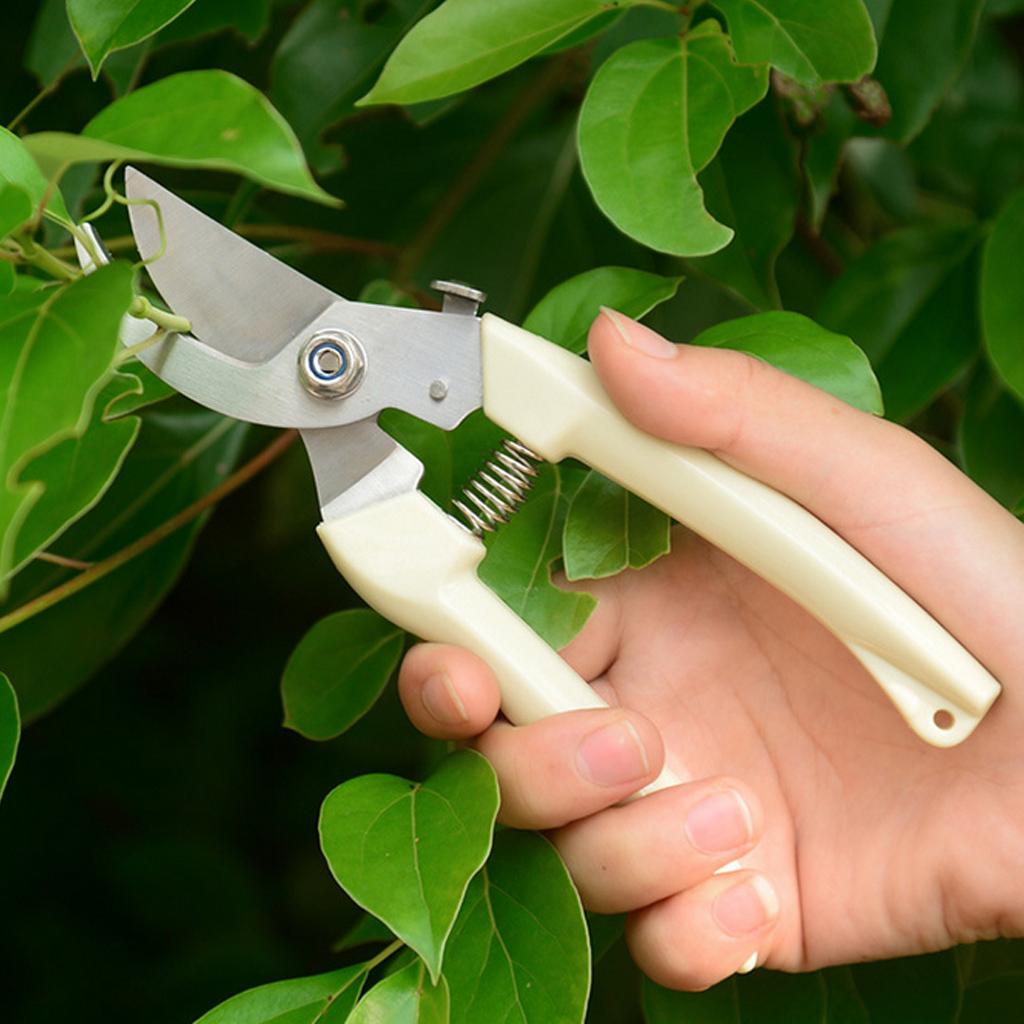 2xGarden Pruning Shears Pruners Secateurs Plant Cutter Scissor Hand Tools