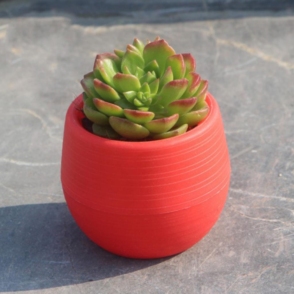 4xSmall Cactus Succulent Planters Indoor Flower Pots with Drainage Hole Red