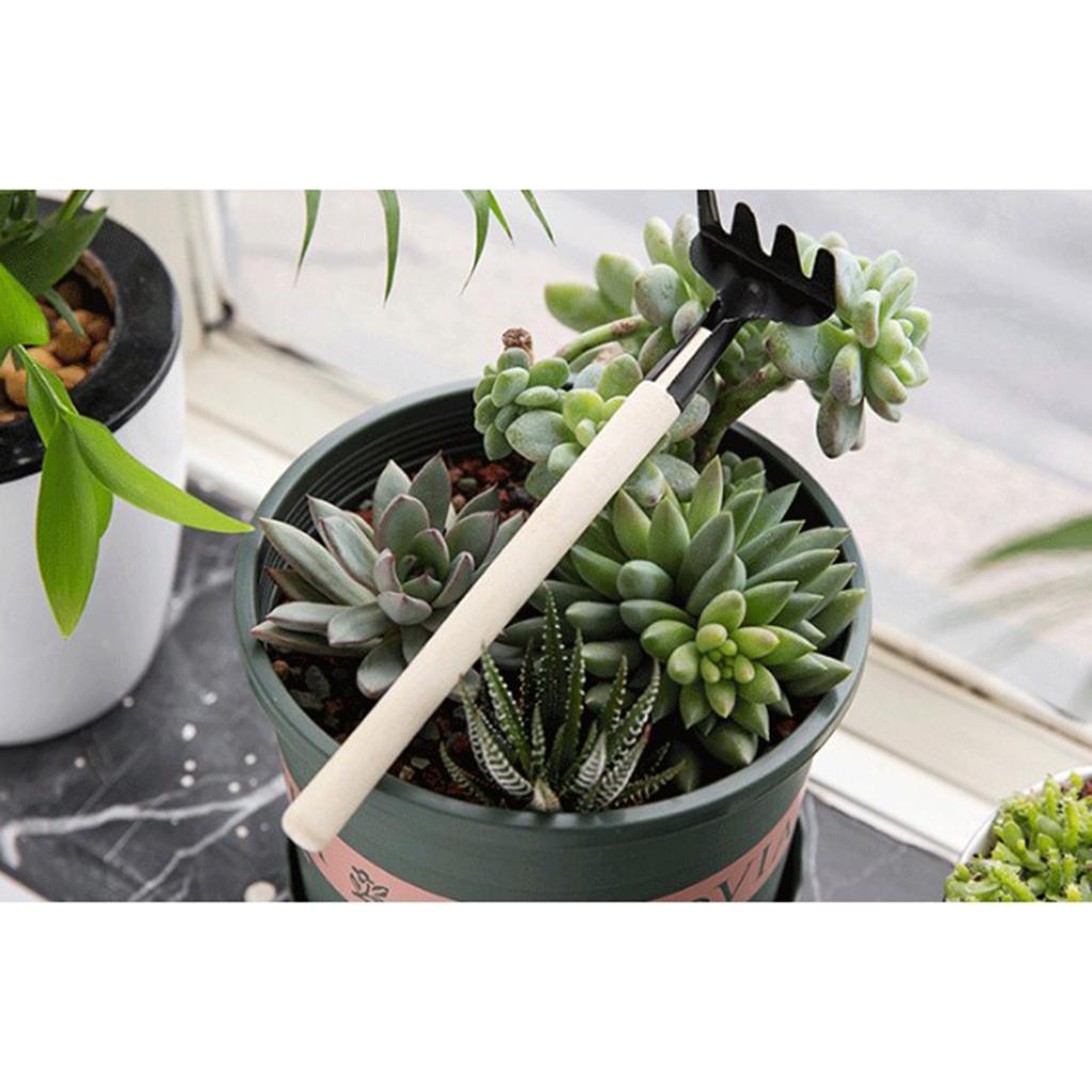 2x3pcs Garden Plant Tools Mini Planting Succulent Garden Tools Wood Handle