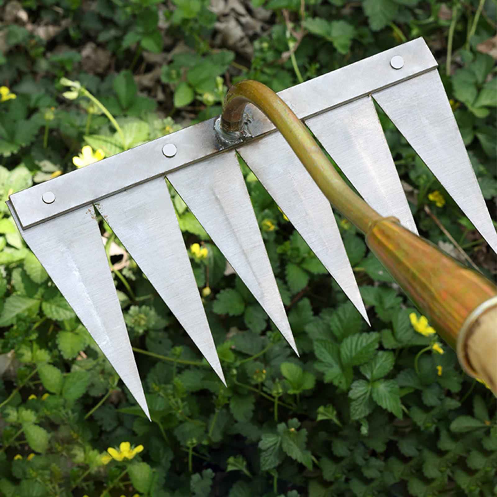 Multisizes Vegetable Gardening Hoe Indispensable Garden Tools 5 Tooth Steel