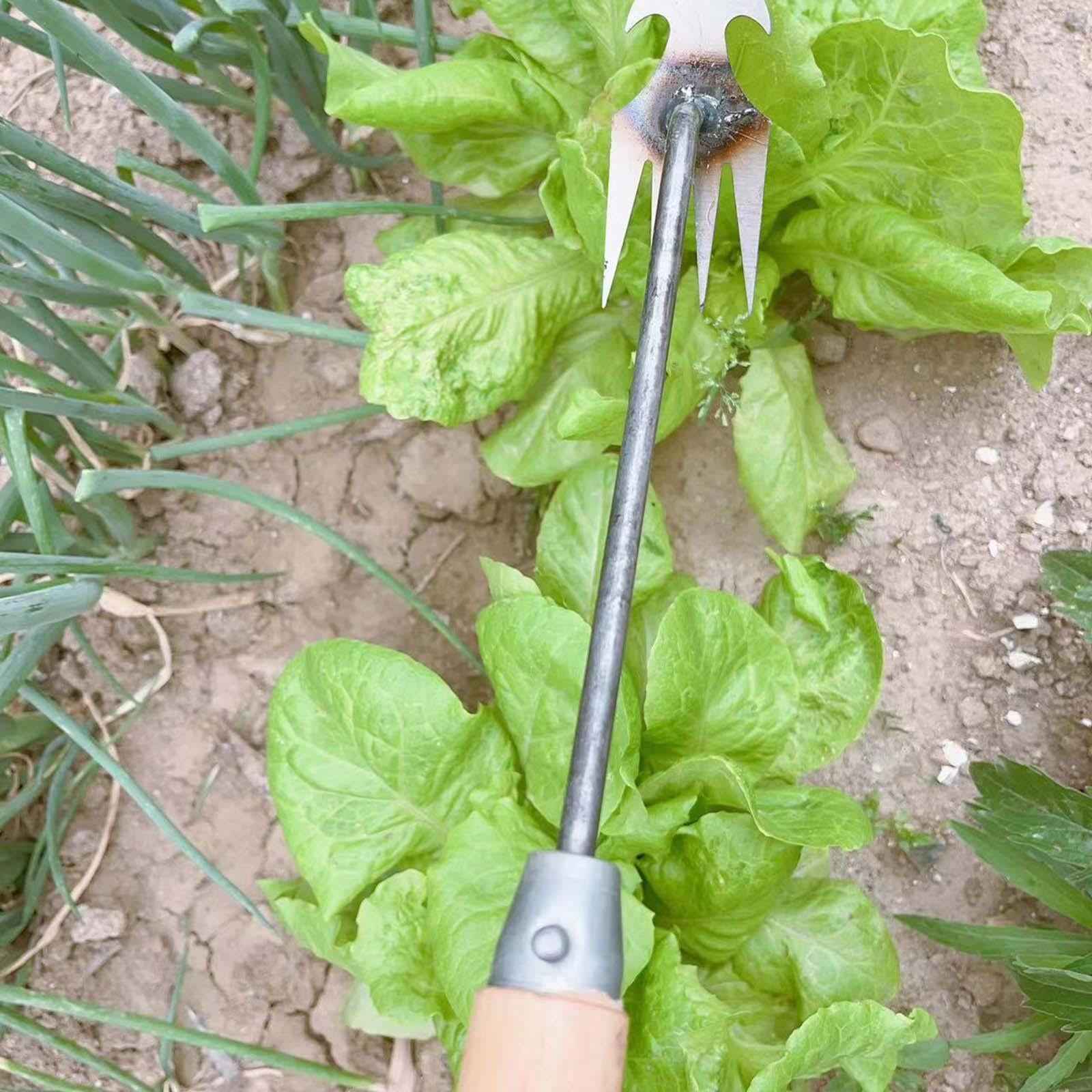 Garden Weeder Tool Digging Multifunctional Weeder for Bonsai Garden Backyard 27cm metal handle