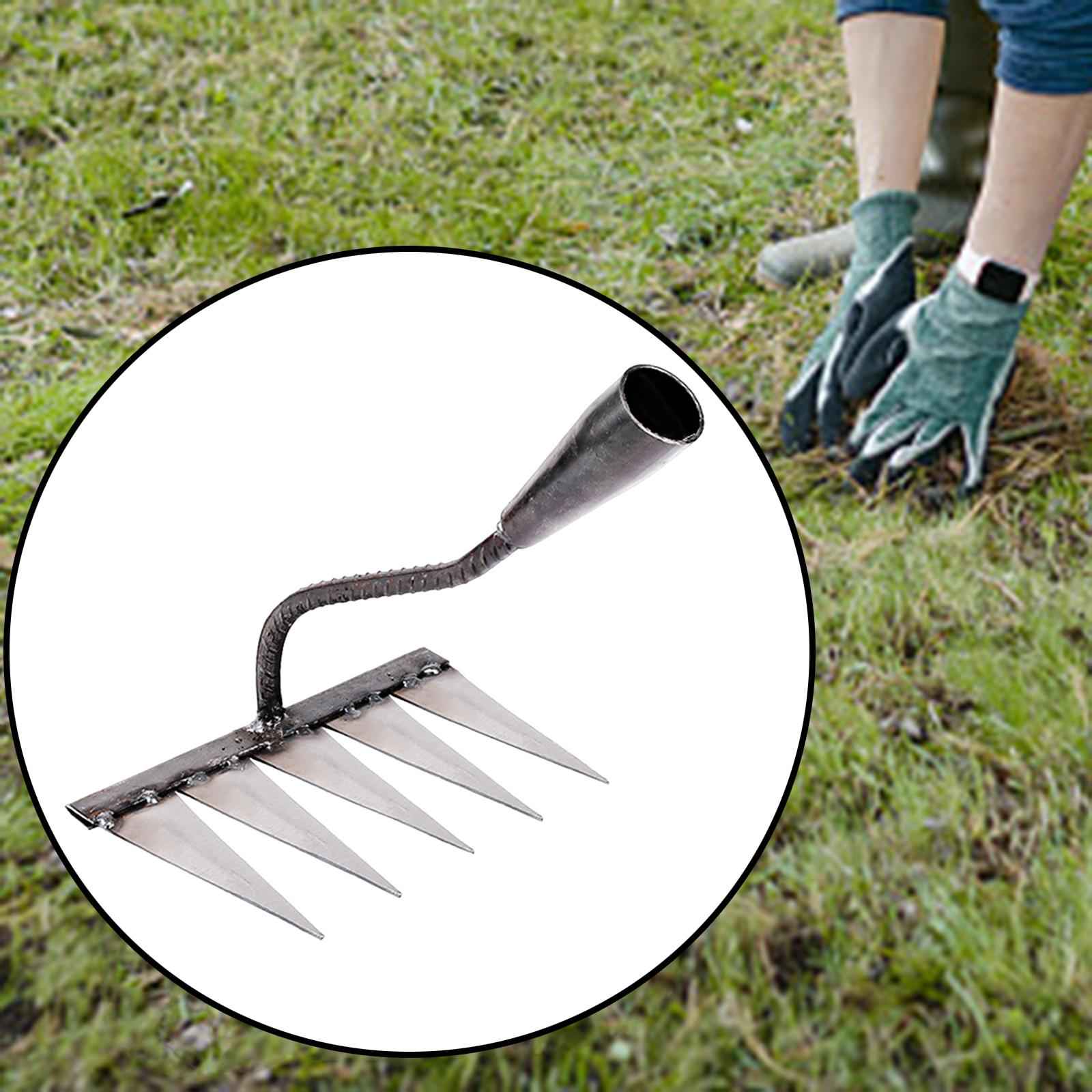 Garden Rake Hardened Strong Sharp Tines Rake for Gardening Mulching Backyard with 5 Tines