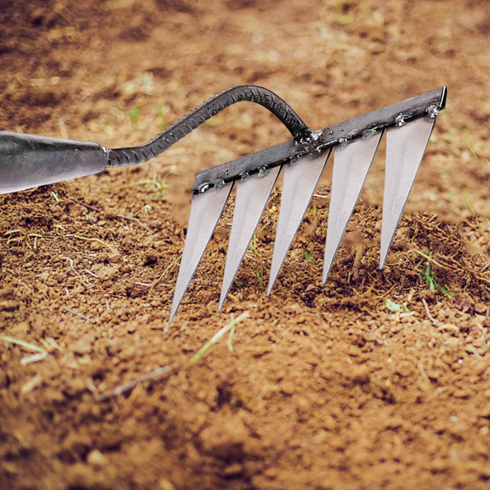 Garden Rake Hardened Strong Sharp Tines Rake for Gardening Mulching Backyard with 5 Tines
