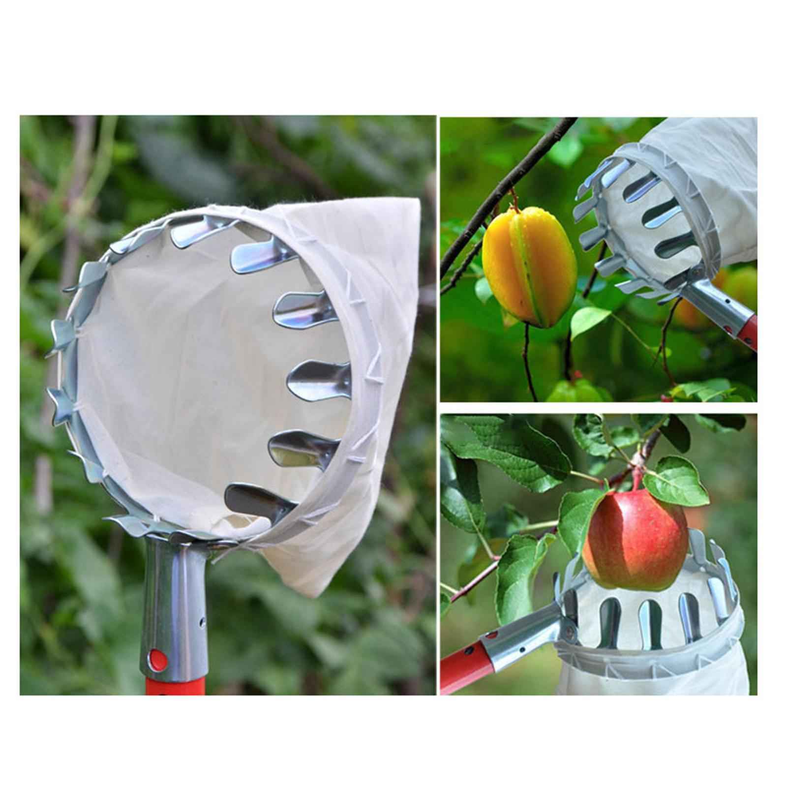 Fruit Picker Basket Labor Saving Fruit Catcher Device for Mango Peach Garden Fruit Picker