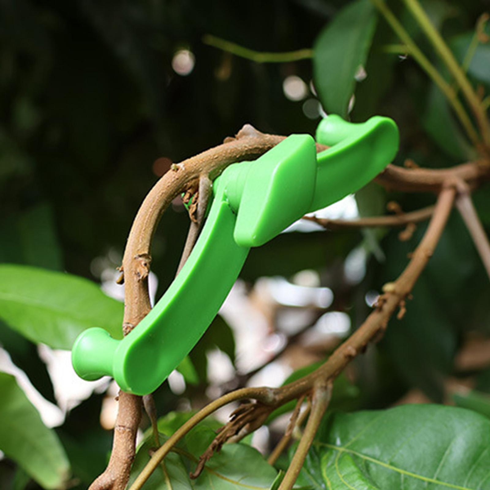 2xFruit Tree Branch Limb Spreaders Branch Support for Thick Branches Gardening 5 pieces