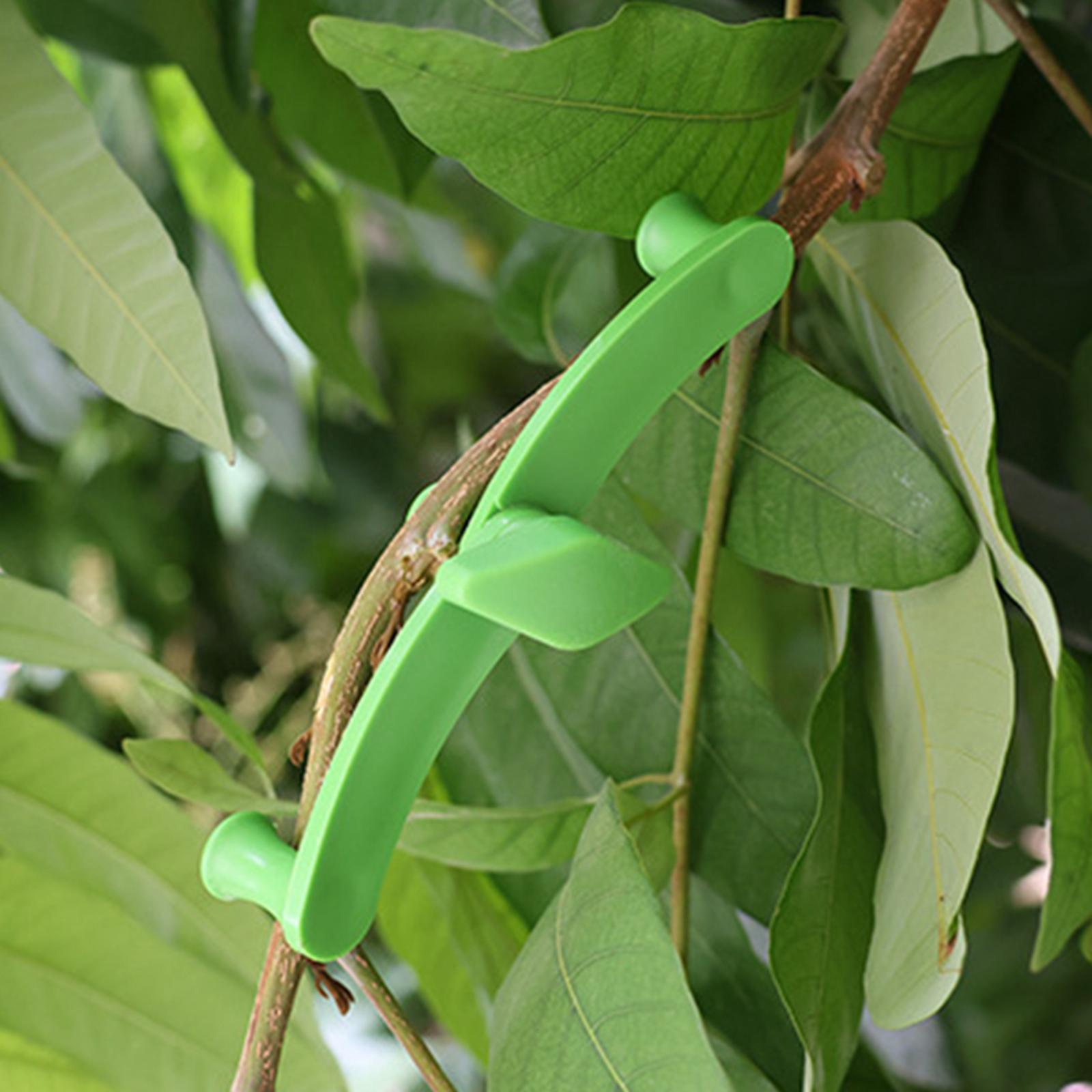 2xFruit Tree Branch Limb Spreaders Branch Support for Thick Branches Gardening 5 pieces
