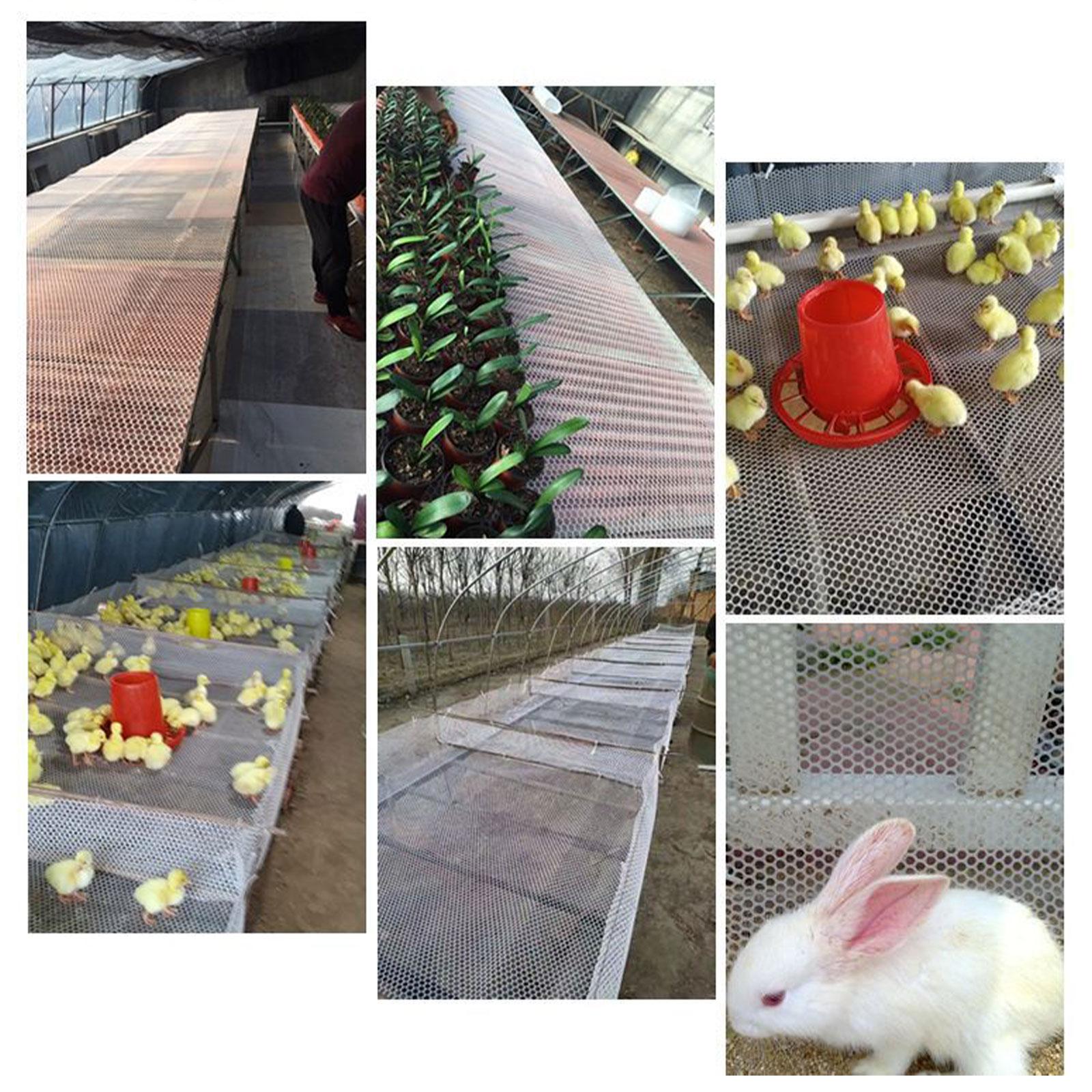 Chicken Mesh Fence Home Decor Garden Balcony Fence Mesh for Cat Chicken 4x0.5 m