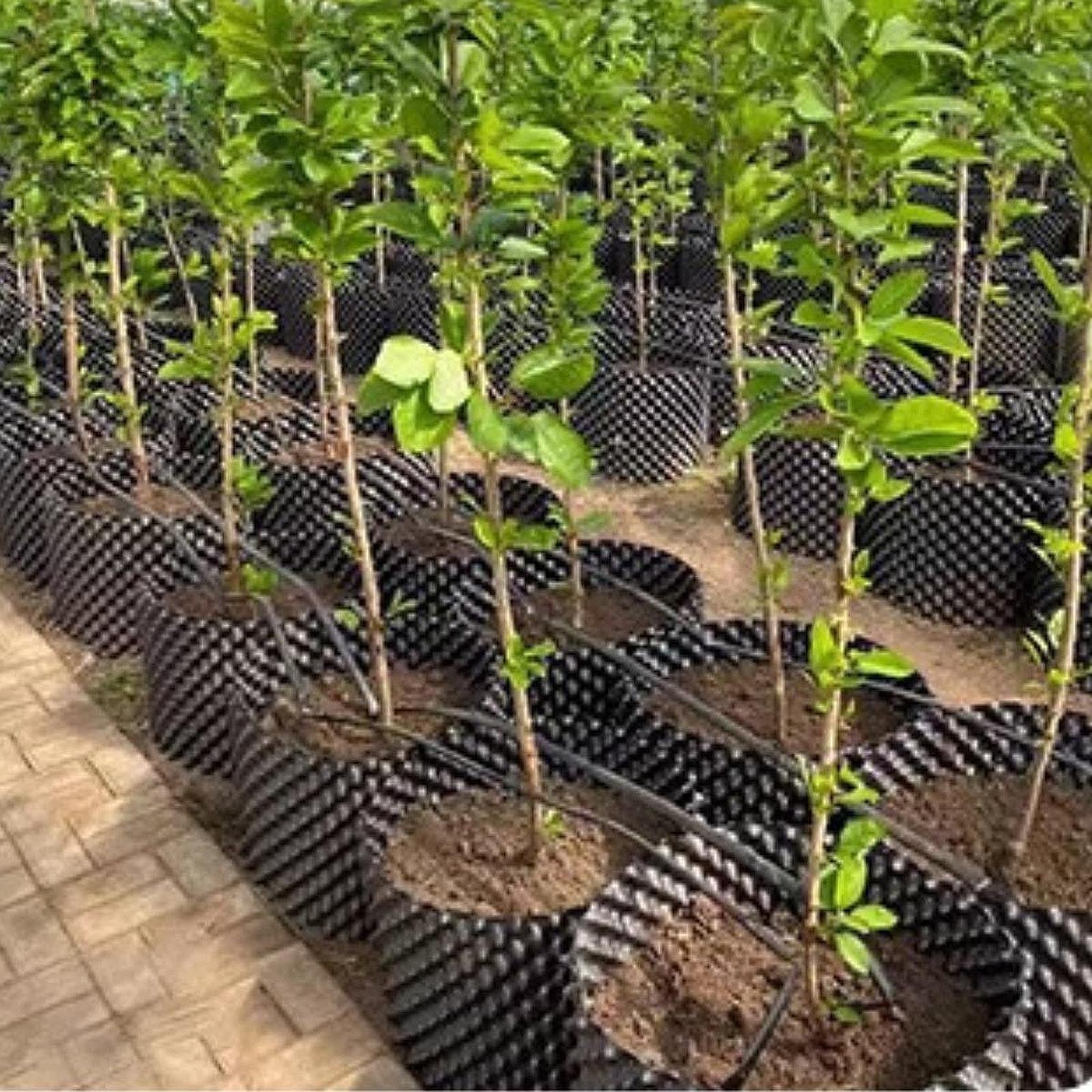 Air Root Pruning Pot Sturdy Air Pruning Planter for Tree Garden Nursery Pots 20cm Height