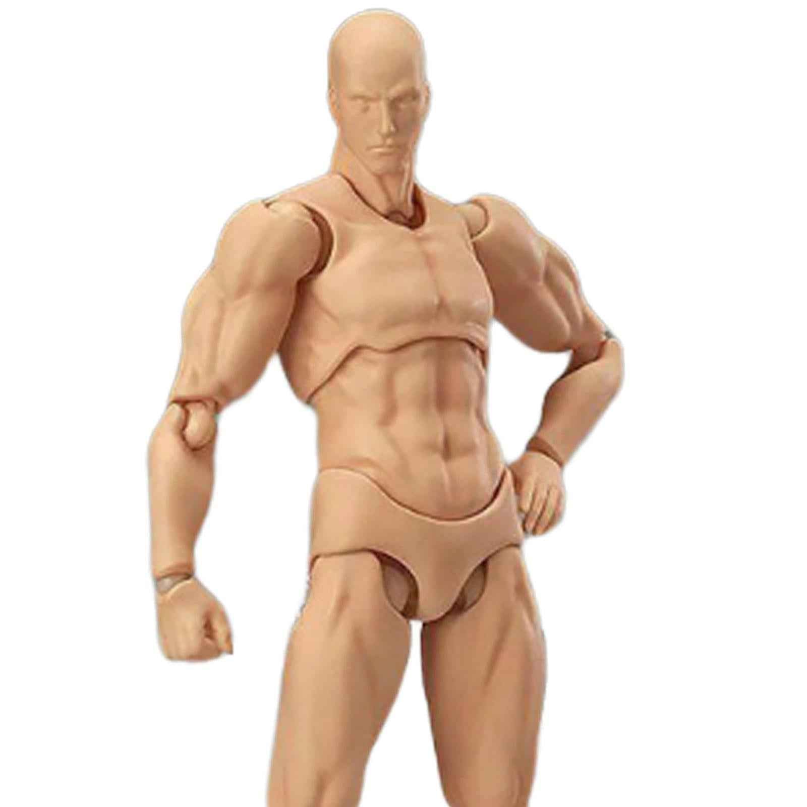 Drawing Action Figure Model DIY Doll Joint Movable for Sketching Male
