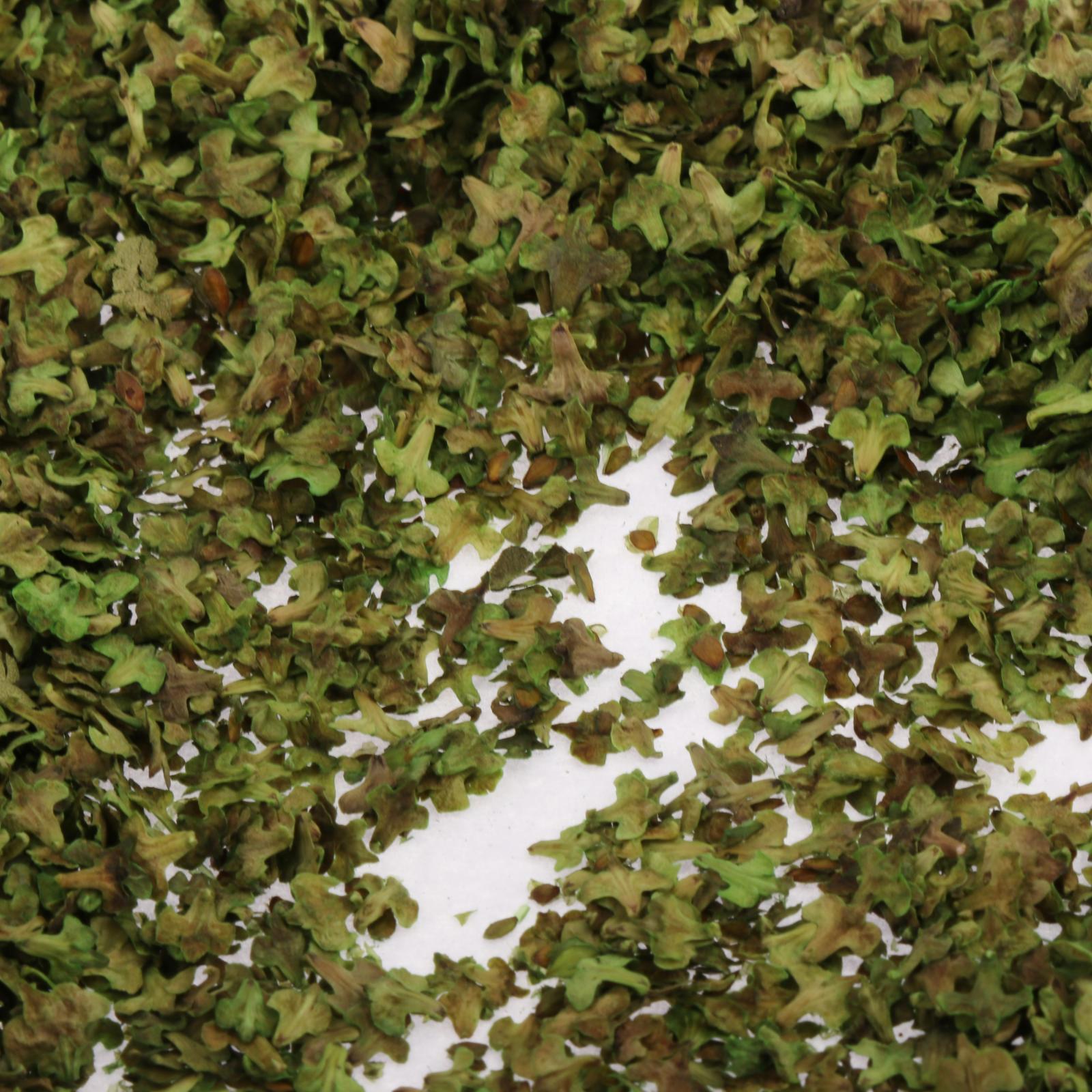 3xRealistic Miniature Leaves Simulation Leaves for Train DIY Mini Model Layout Summer Green