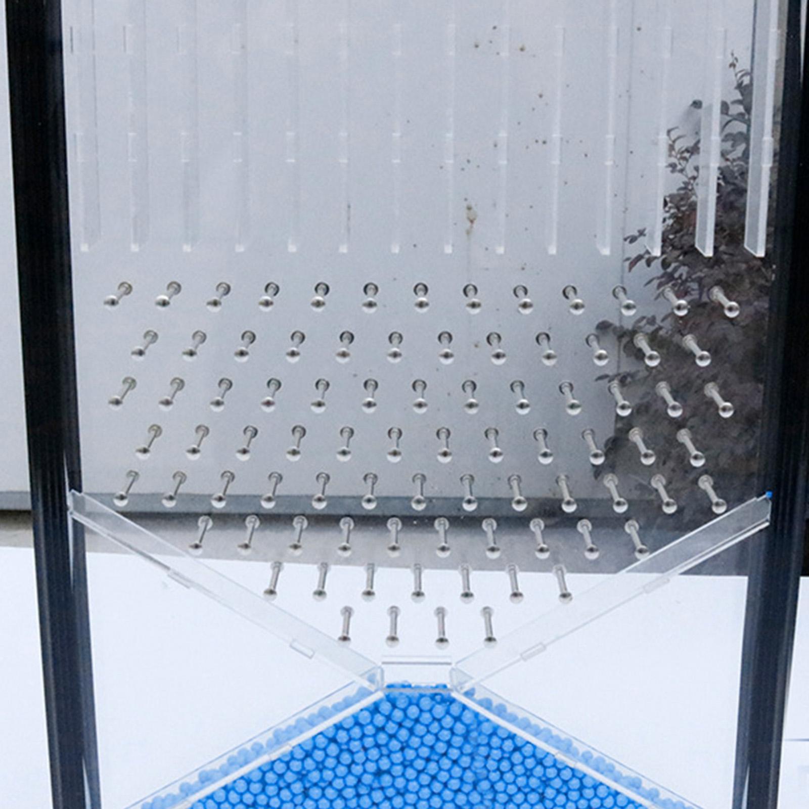 Dalton Board/galton Board Physics Experiment Teaching Equipment for Teachers