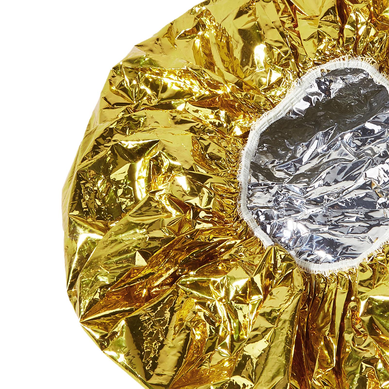 5xShower Cap Heat Insulation Hat Tin Foil Cover Women Hair Salon Hairdressing Aureate