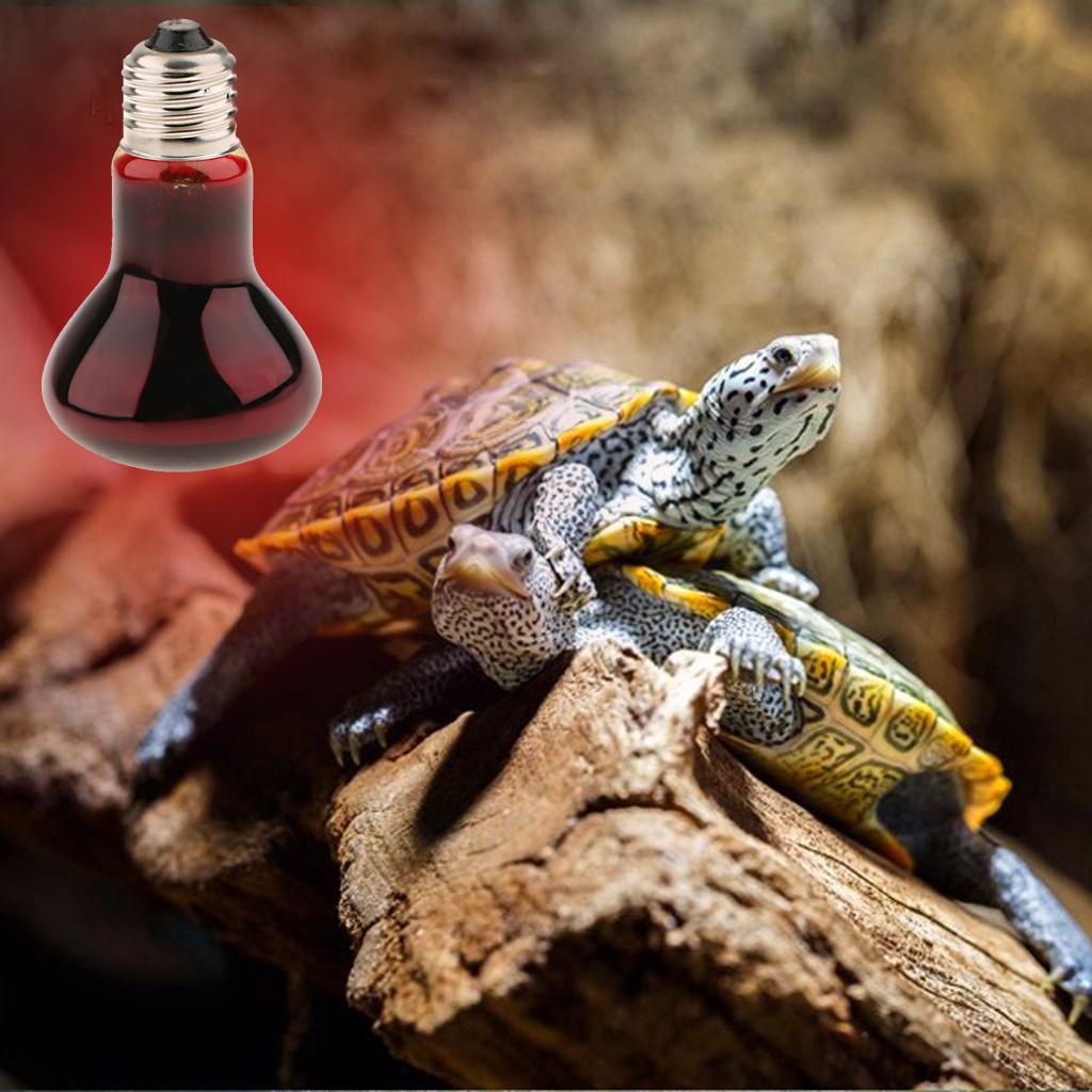 220V Reptile UVA Heat Light Bulb Night View E27 Heating Lamp-AU Plug 100W