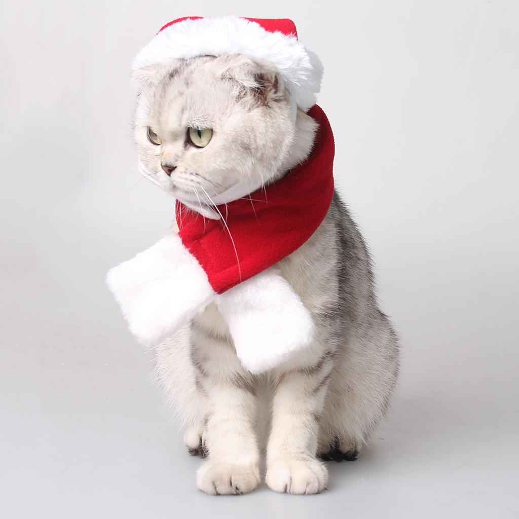 Adjustable Pet Dog Cat Christmas Santa Hat with Scarf Xmas Costume Dress S