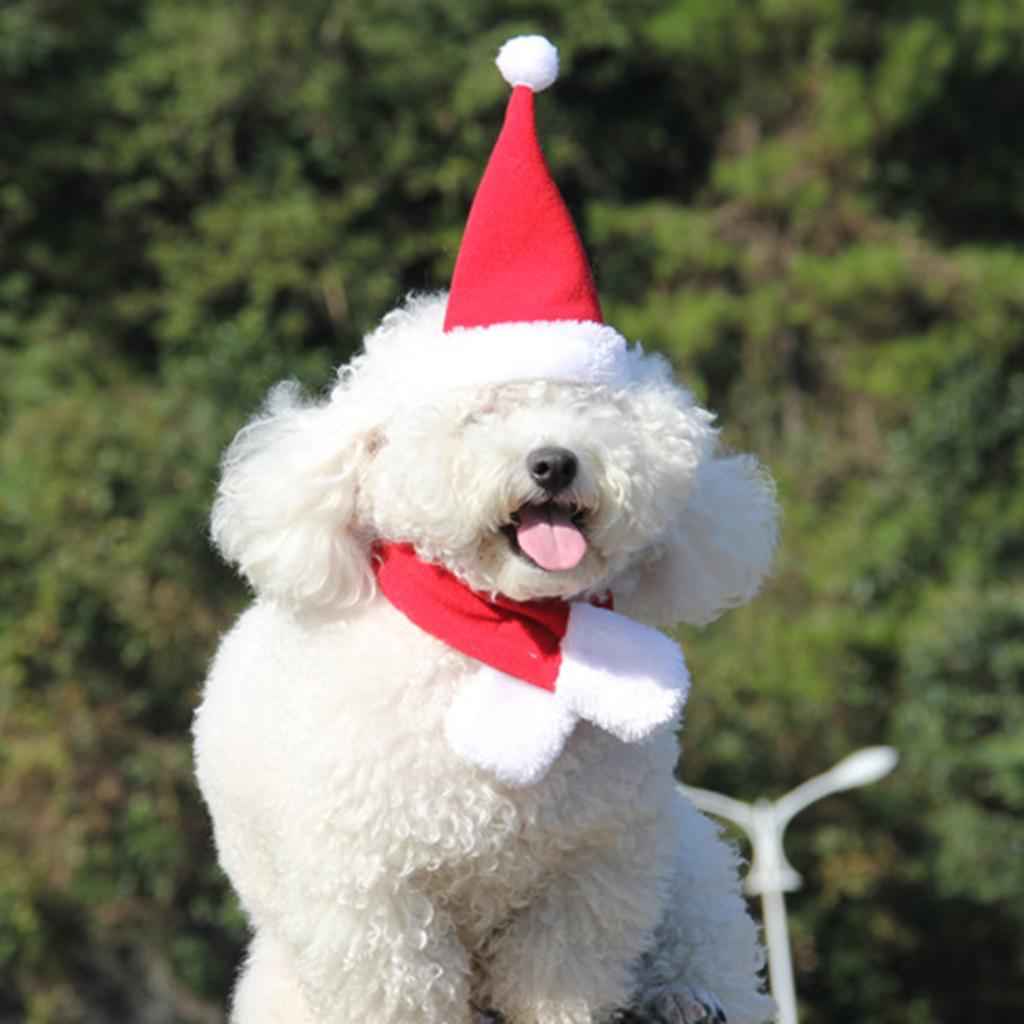 Adjustable Pet Dog Cat Christmas Santa Hat with Scarf Xmas Costume Dress S