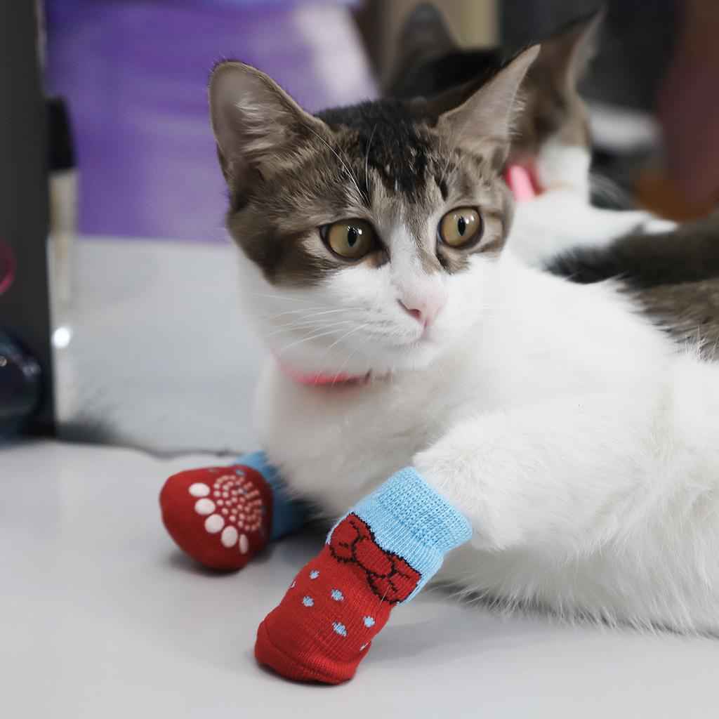 4Pcs Pet Dog Socks Dog Floor Grip Socks Shoes Boots Non Slip Protector Socks L Red