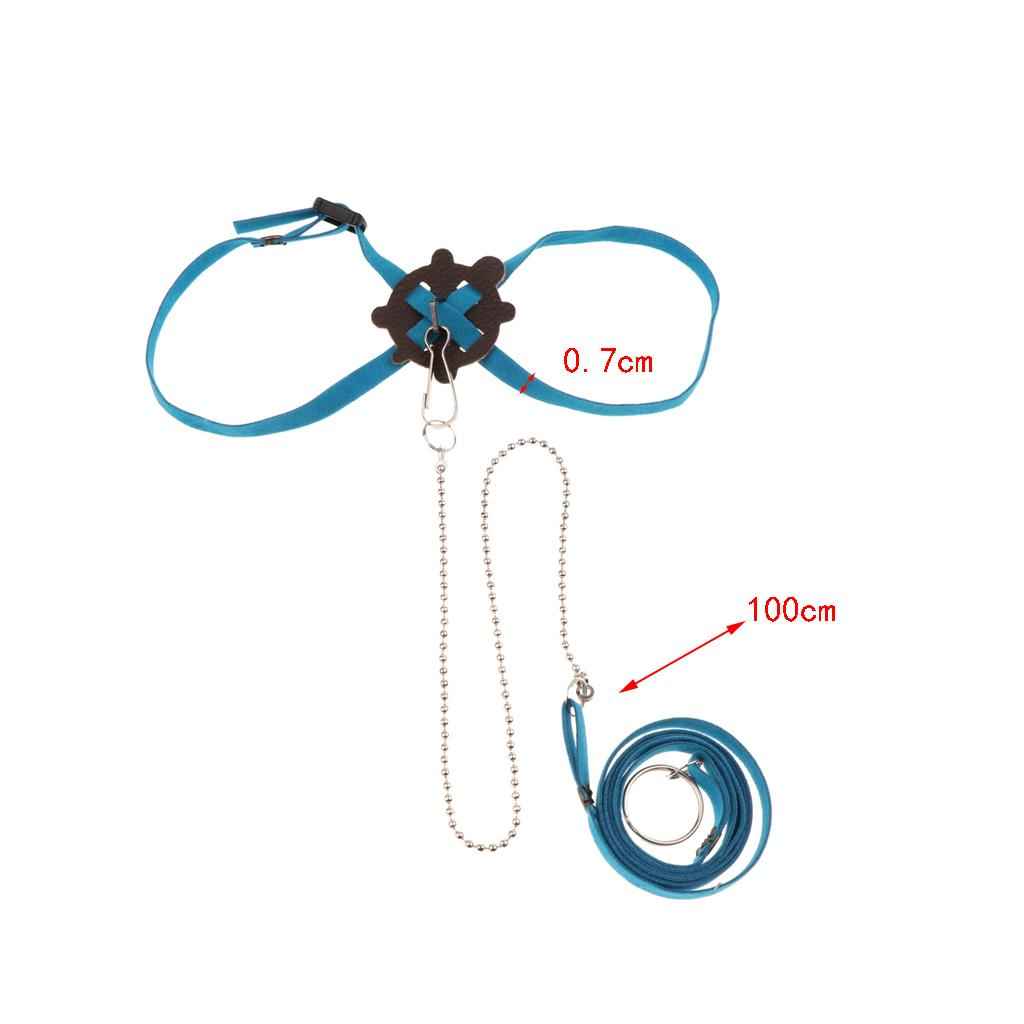 Adjustable Pet Turtle Harness Leash Lead for Small Pet Animal Outdoor Blue