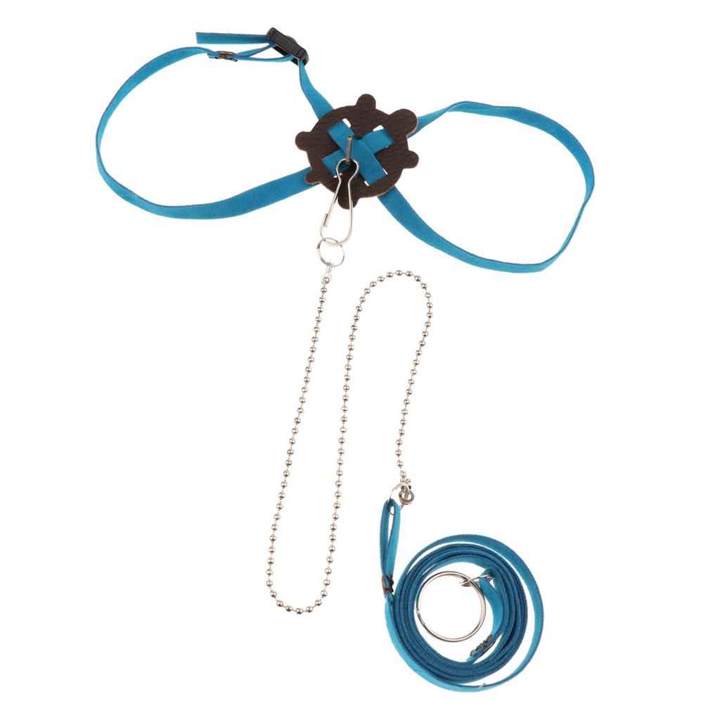 Adjustable Pet Turtle Harness Leash Lead for Small Pet Animal Outdoor Blue