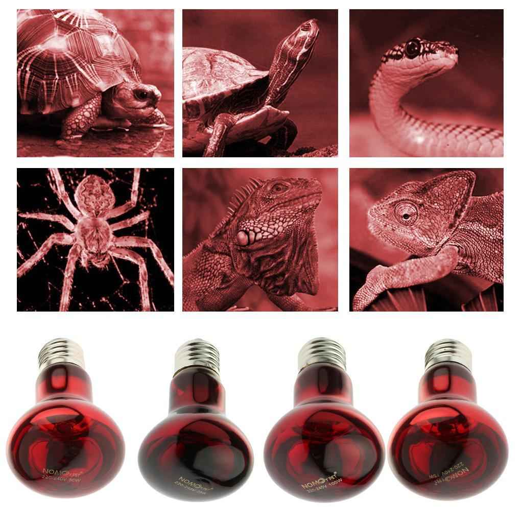 Glass Pet Heating Infrared Lamp Winter Heat Emitter Lamp Bulb E27 Red 25W