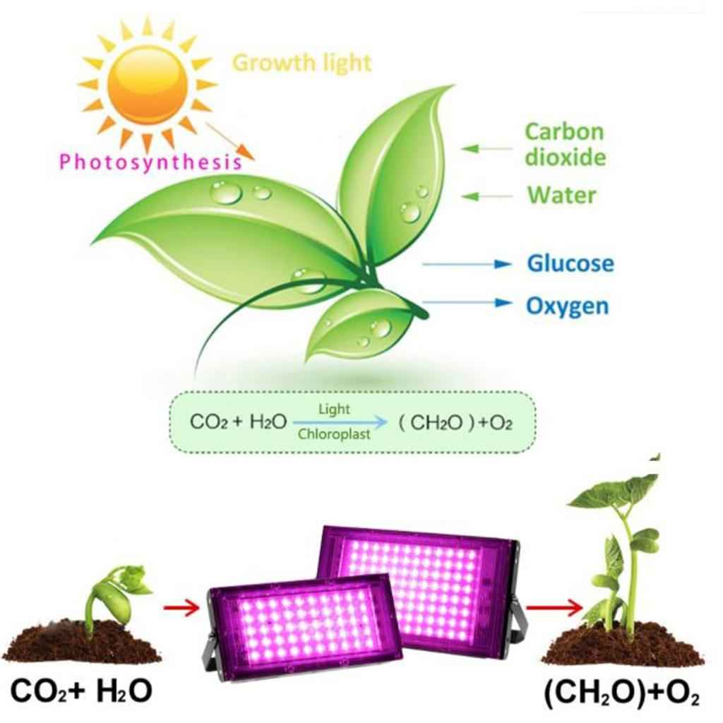 50W/100W LED Grow Light Full Spectrum for Hydroponic Indoor Plants EU Plug 100W
