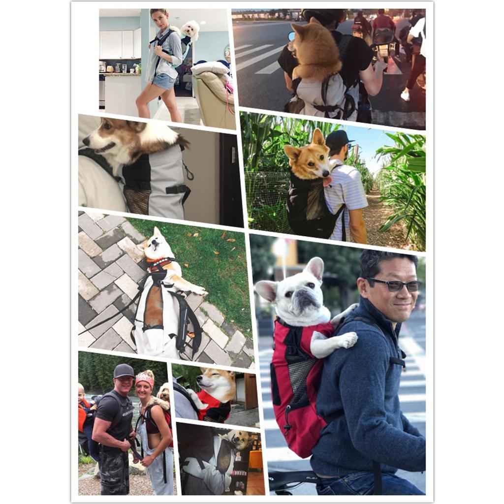 Dog Carrier Breathable Corgi Carrying Bag Hiking Travel Pet Backpacks Grey