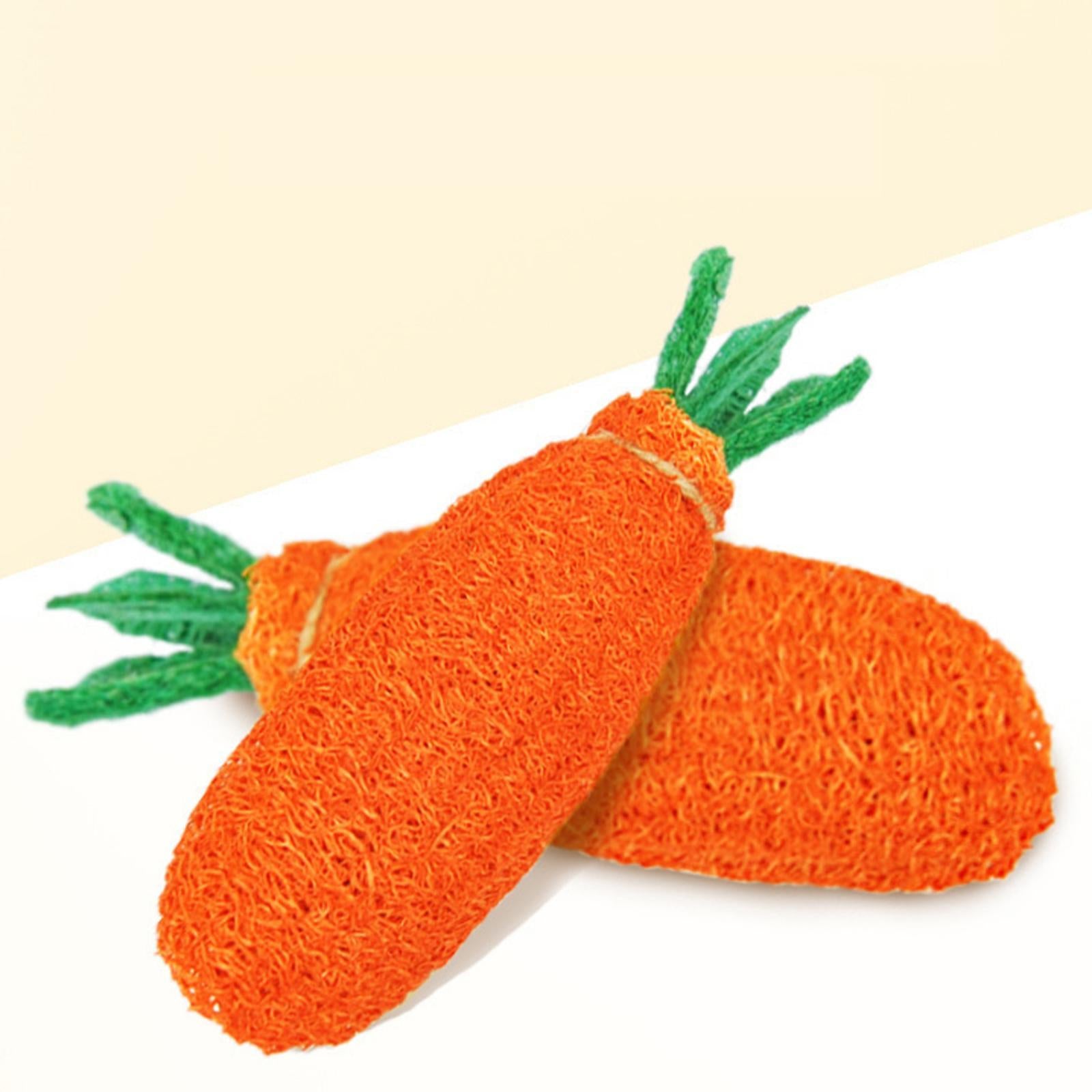 Dog Chew Toys Indestructible Teething Cleaning Playing Interactive Dog Toys