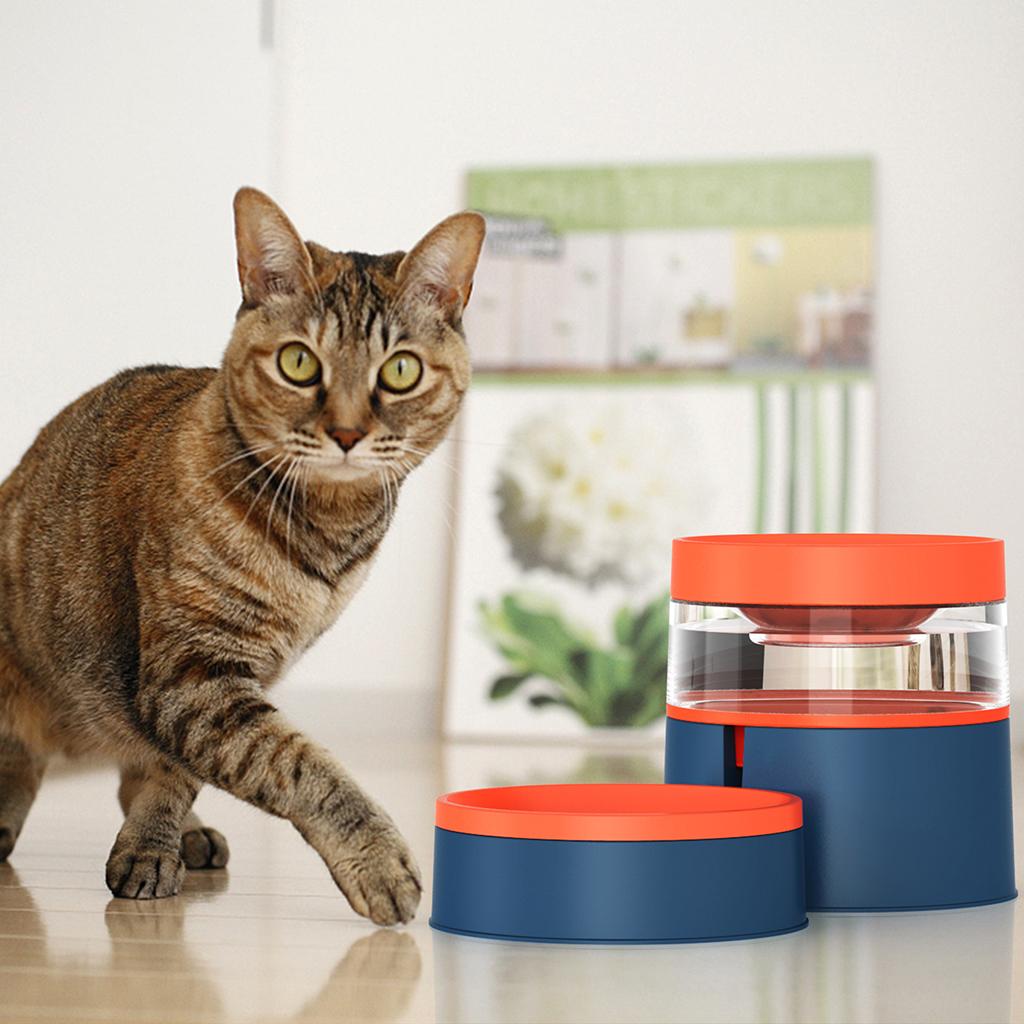 Anti-slip Durable Dog Cat Bowls Automatic Double Feeder for Cat Drinking 1L Blue