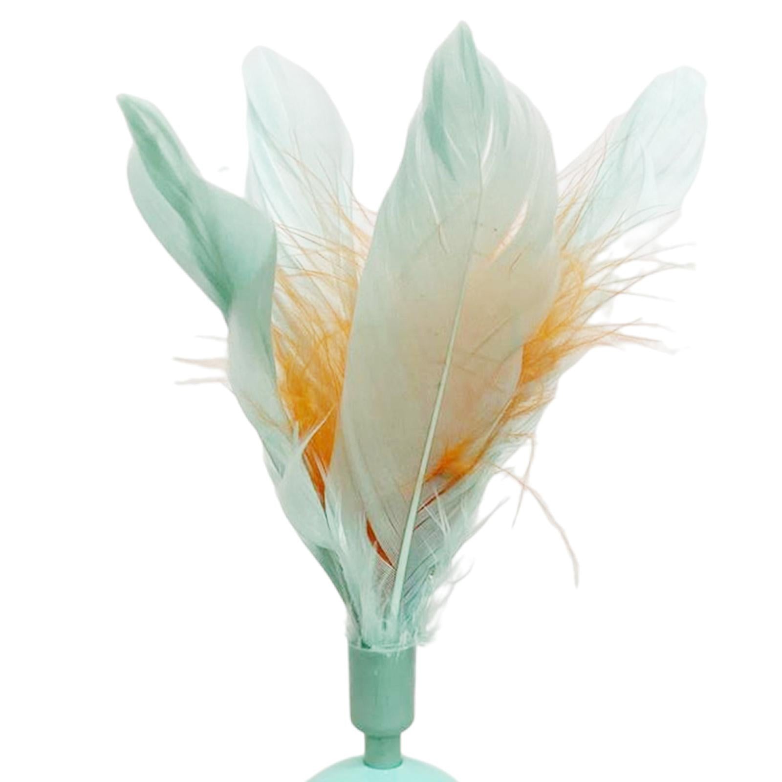 Cat Feather Toy Rolling Ball Tumbler Playing Teaser Toys with Bell Green