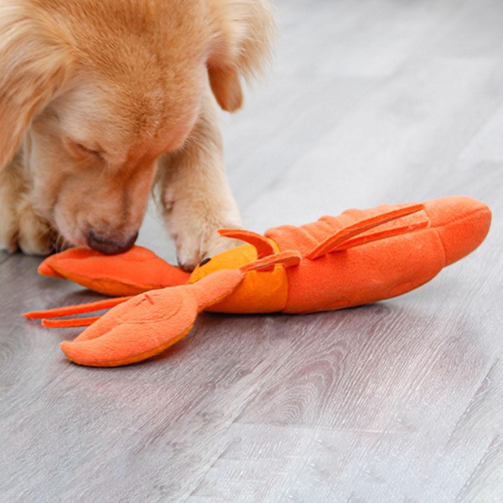 Dog Interactive Molar Stick Lobster Durable Teeth Clean Tool Dog Chew Toys