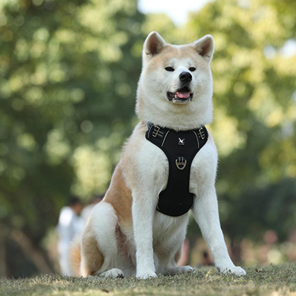 Adjustable Pet Dog Cat Vest Harness for M - L Dogs Walking Black