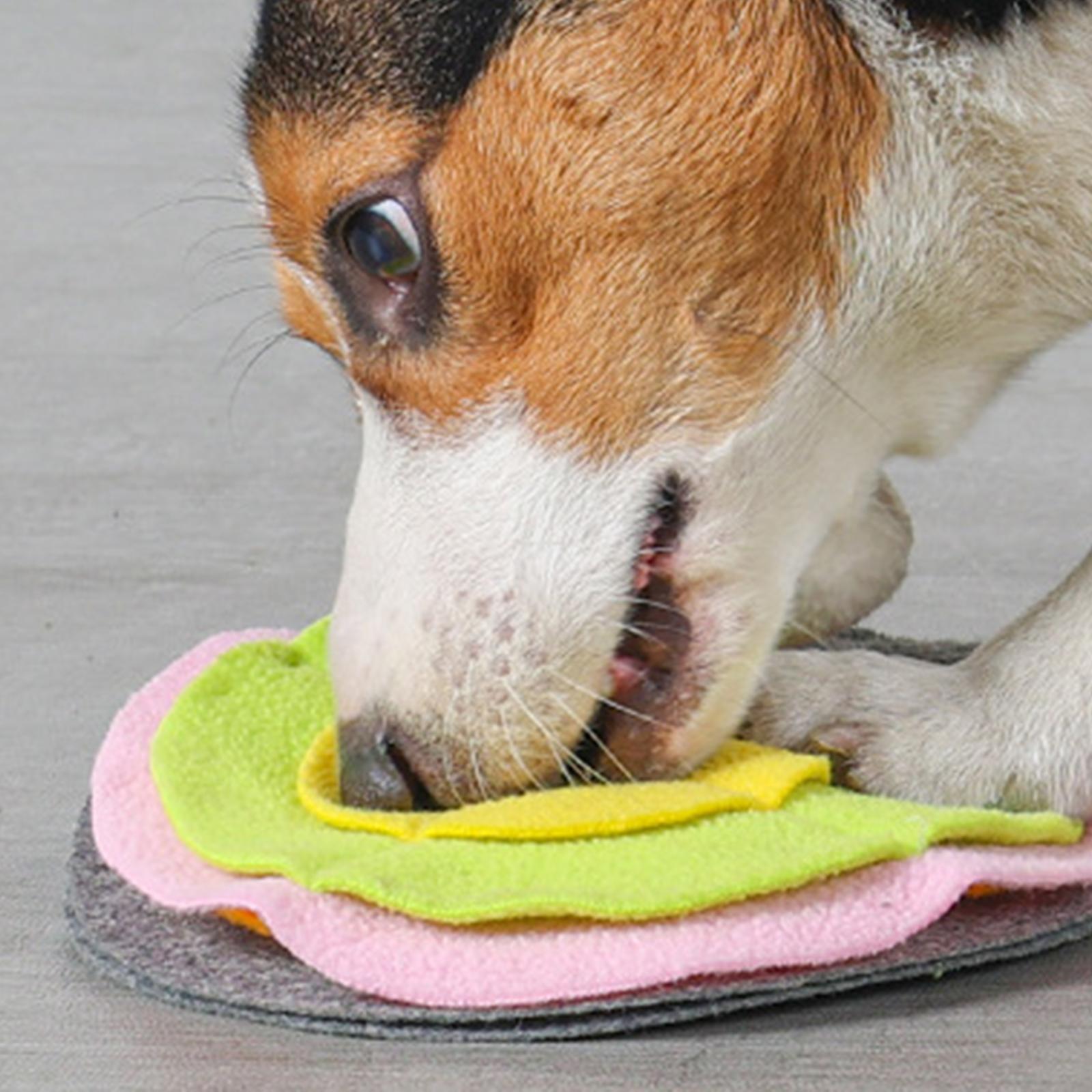 Dog Snuffle Mat Food Puzzle Puppy Chew Stress Relief Pet Supplies brown