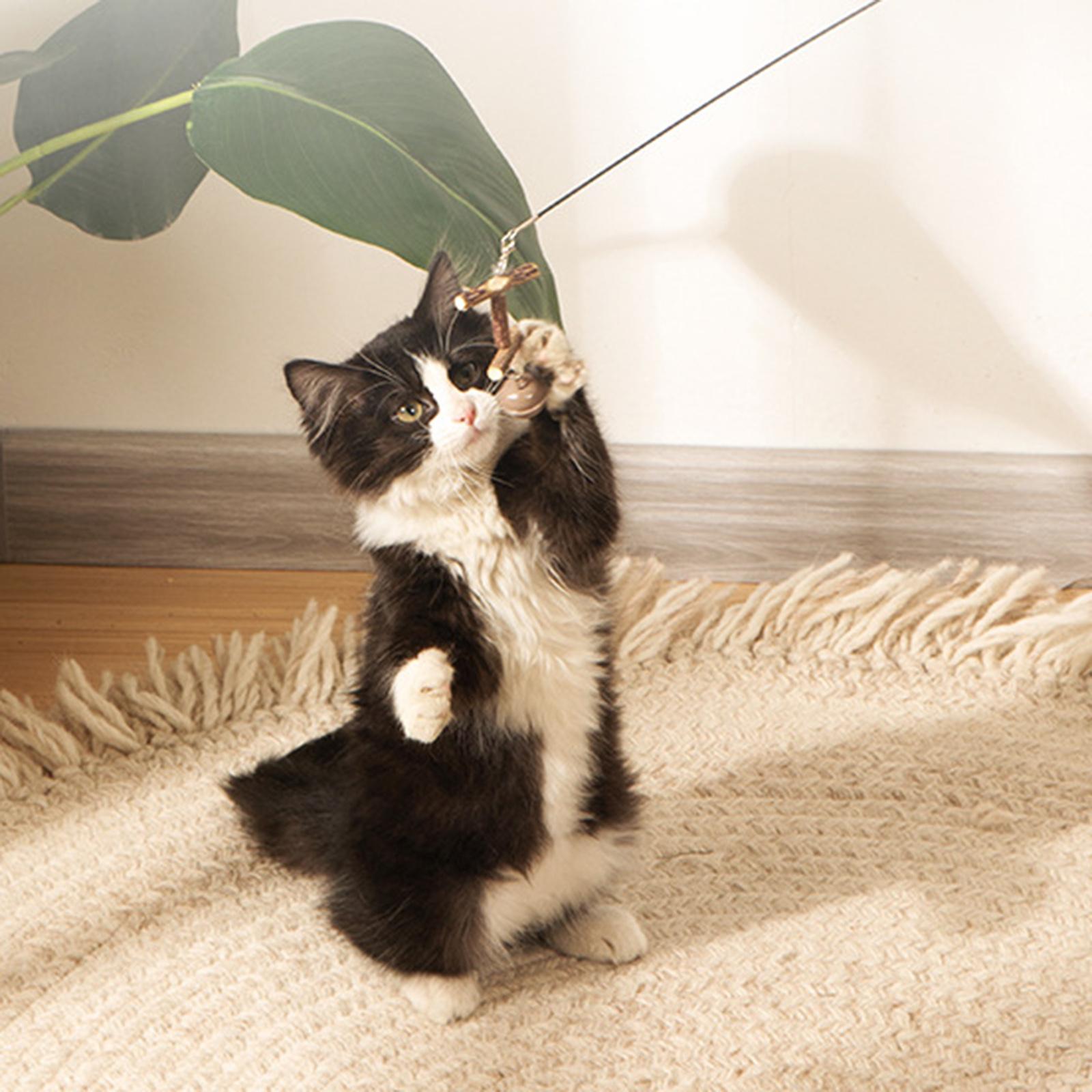 Cat Wand Toy 4 Feather Refills Training Kitten Toys Kitten Exercise Playing