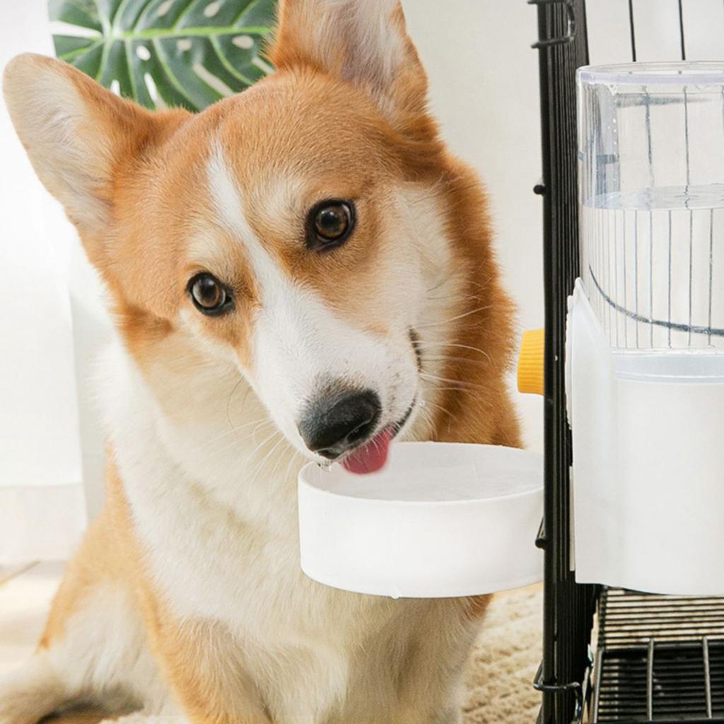 Automatic Food Water Dispenser Dog Cat Water Drinker Pet Feeding Bowls Set Green
