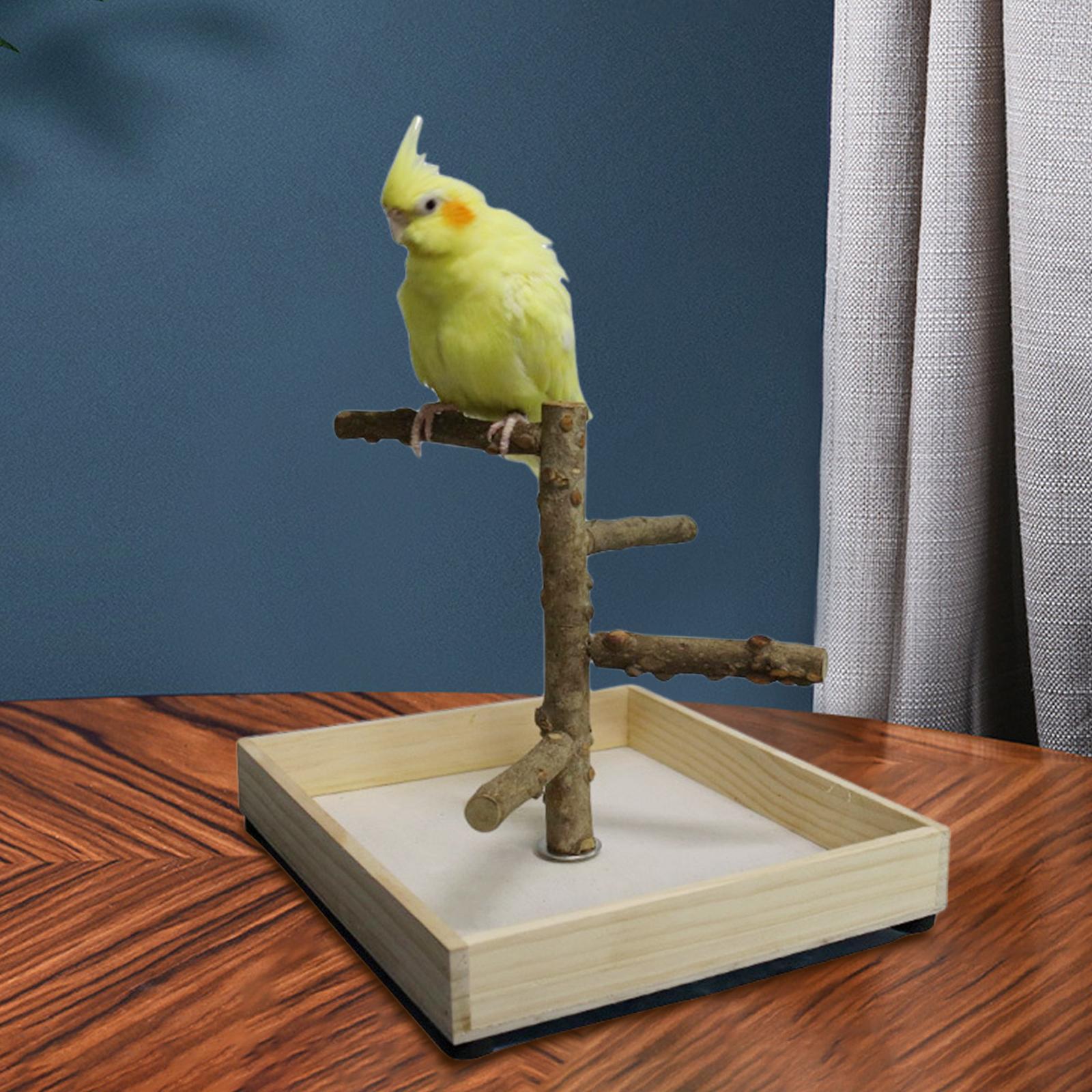 Bird Perch Bird Training Stand Tabletop for Cockatiels Lovebirds Parakeets 23x26x20cm