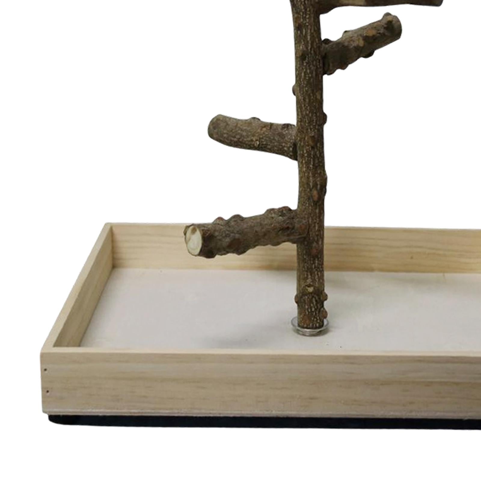 Bird Perch Bird Training Stand Tabletop for Cockatiels Lovebirds Parakeets 23x26x20cm