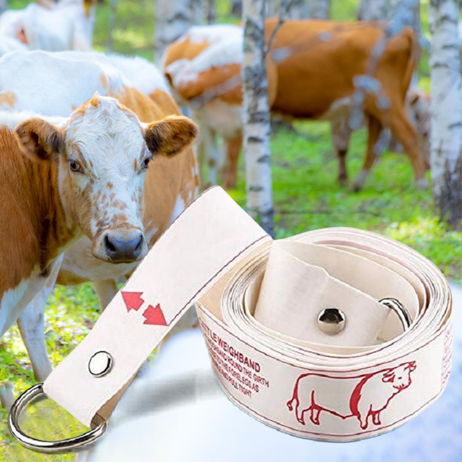 Cattle Tape Measure Ruler Farm Supplies for Body Measurements Soft Equipment