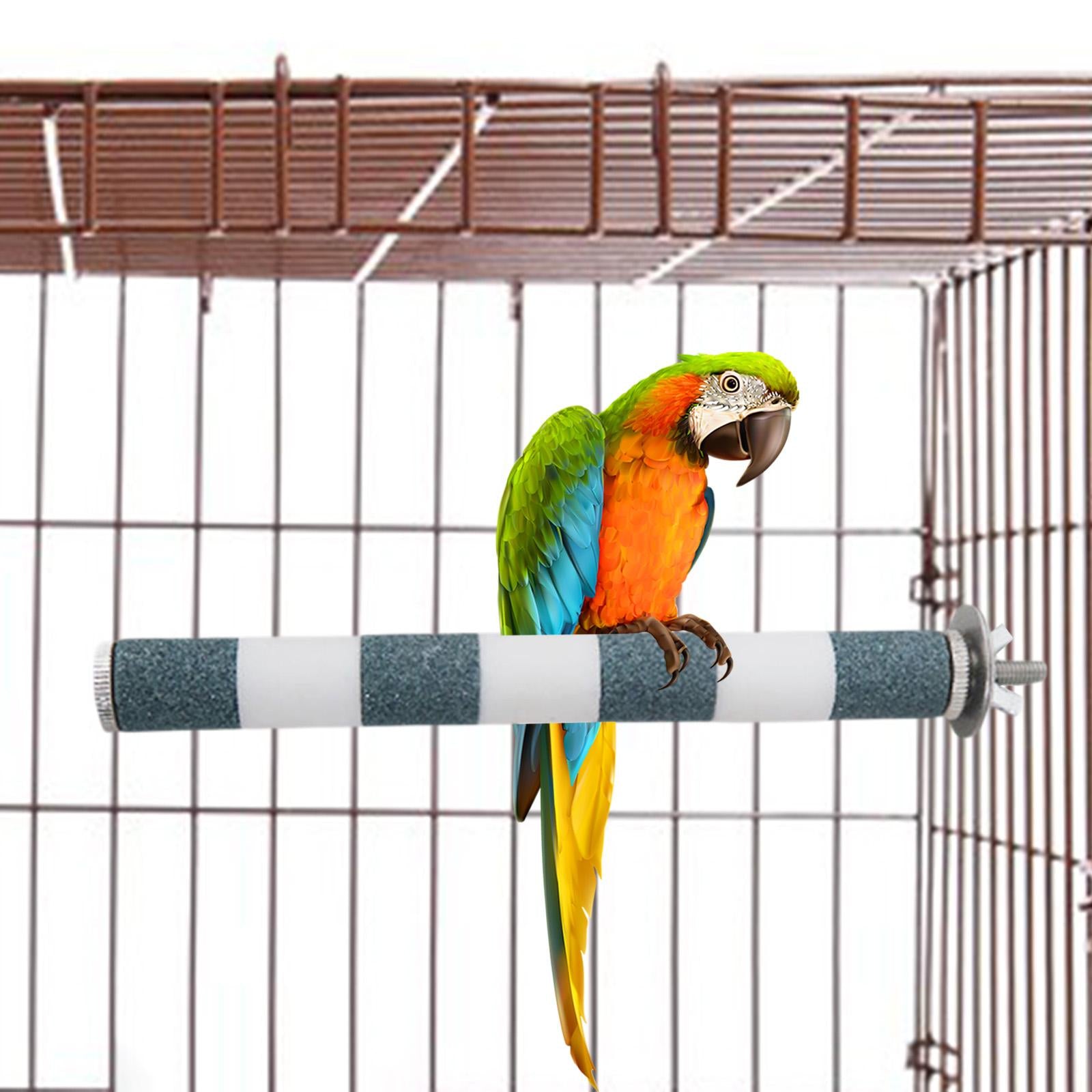 Bird Pet Parrot Stand Toys Chew Paw Grinding Colorful Cage Branch Perches Green 2x20cm