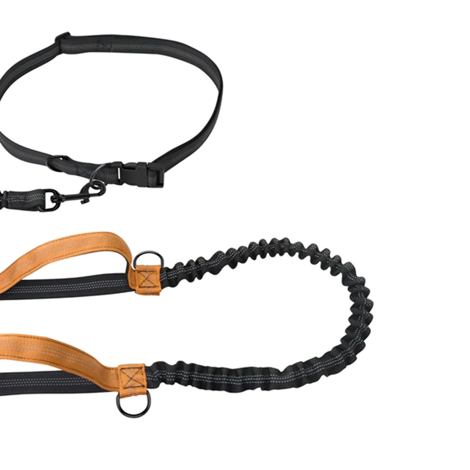 Adjustable Hands Free Dog Leash Running Reflective Walking Hiking Orange
