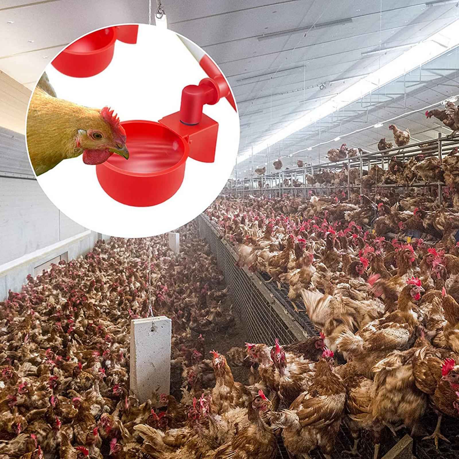 8/12Pcs Chicken Poultry Water Drinker Cup Coop Bowl Automatic Pigeon Feeder 8PCS