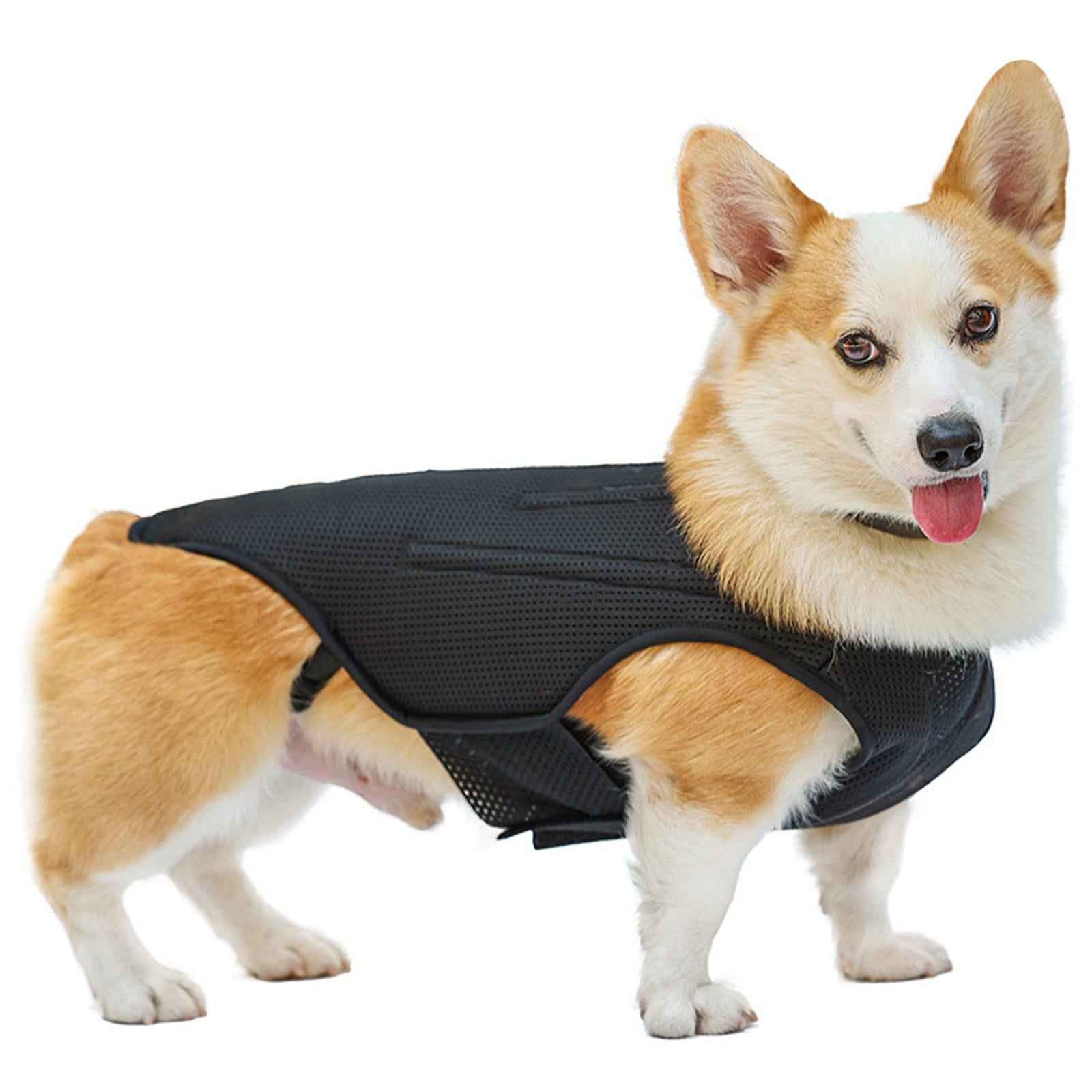 Dog Back Brace Pet Back Pads Flexible Back Support Wrap for Injured Old Dogs S