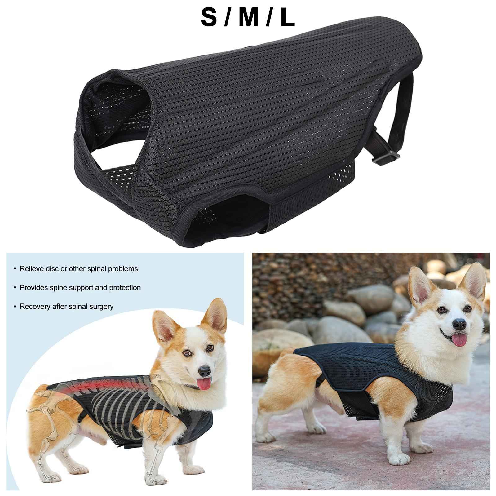Dog Back Brace Pet Back Pads Flexible Back Support Wrap for Injured Old Dogs S