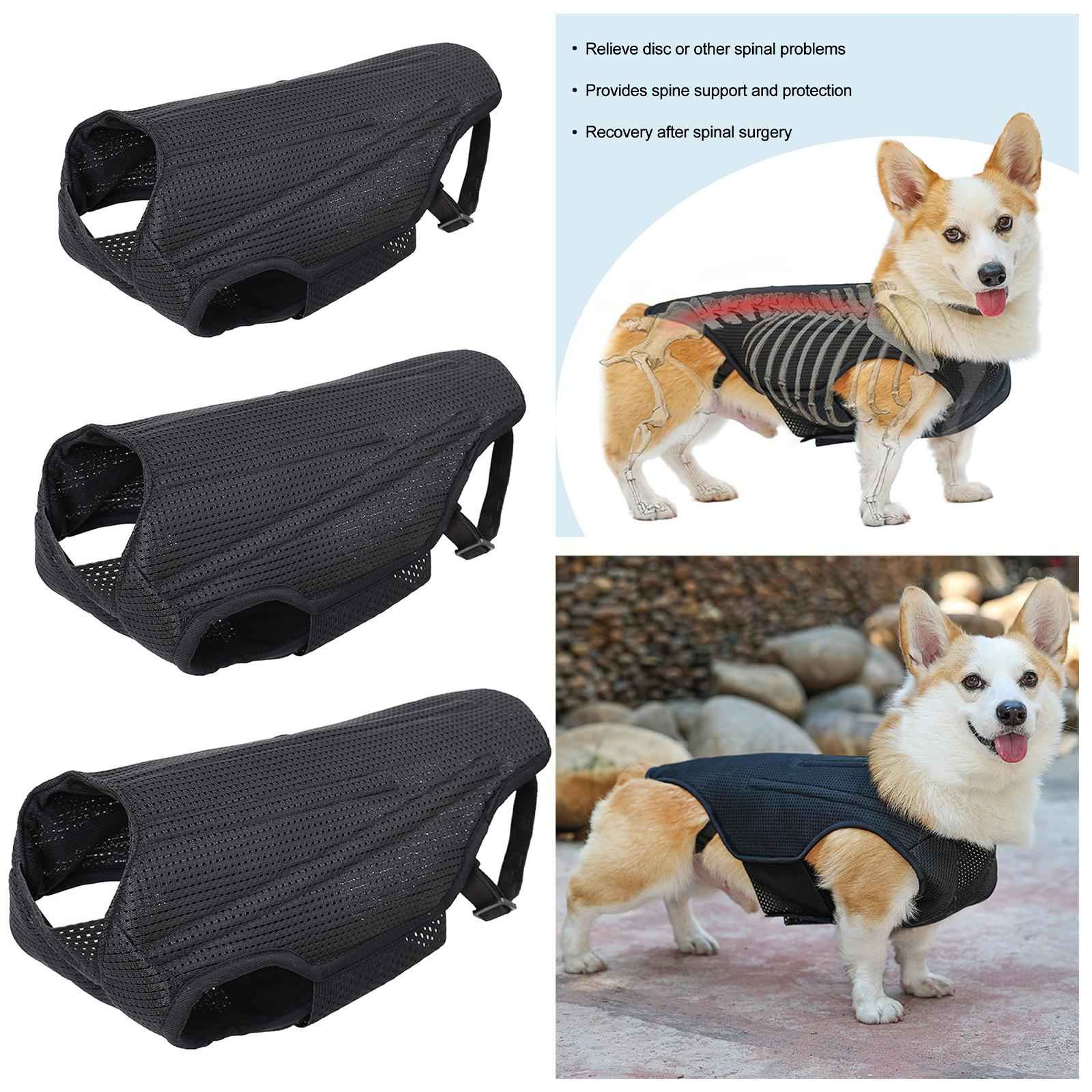 Dog Back Brace Pet Back Pads Flexible Back Support Wrap for Injured Old Dogs S