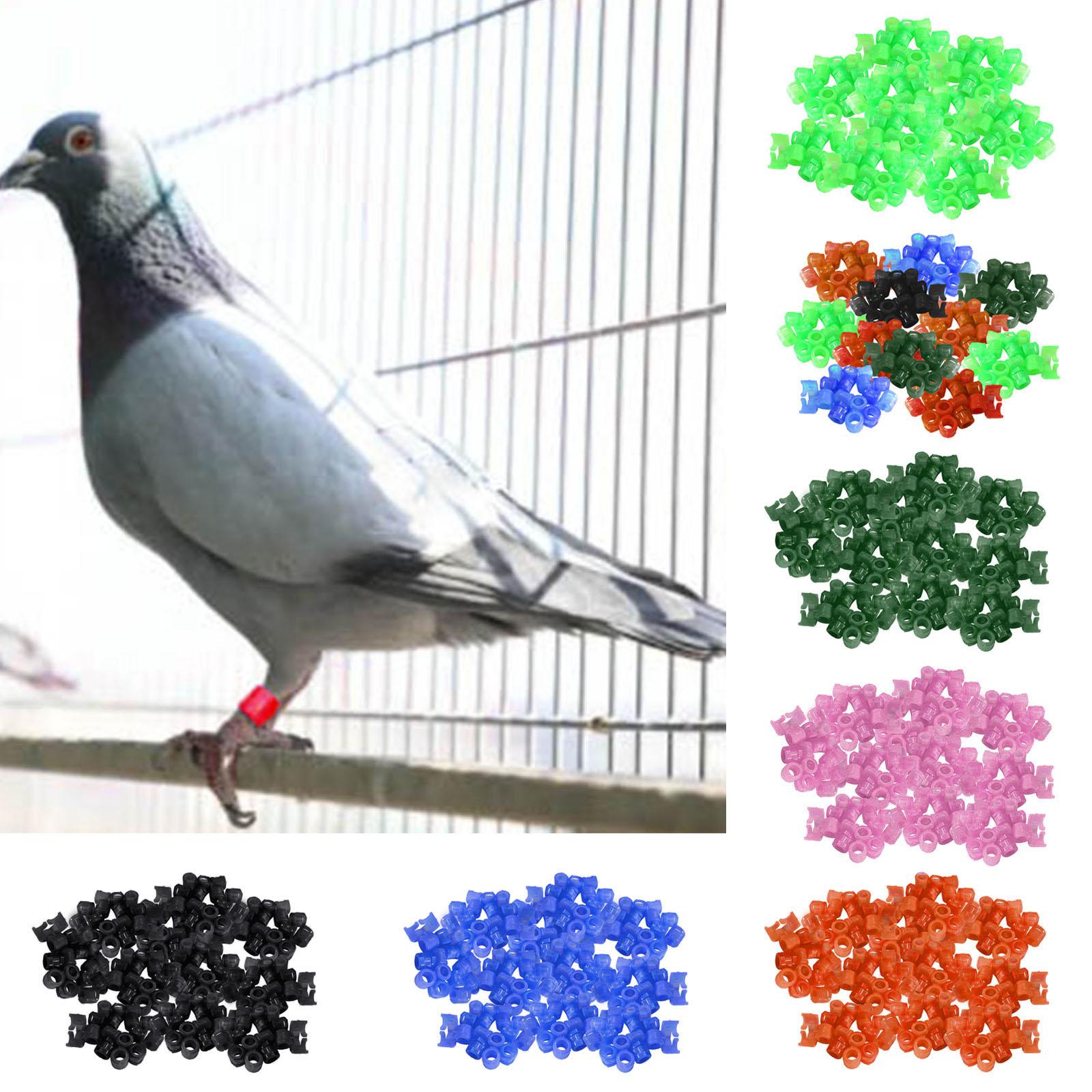 100Pcs Birds Foot Bands Competition Pigeon Clip On Leg Rings Green