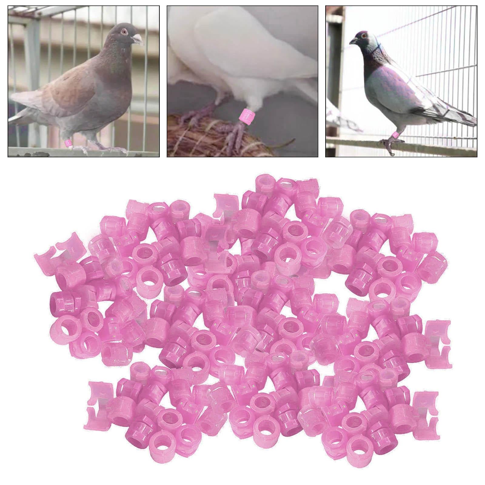 100Pcs Birds Foot Bands Competition Pigeon Clip On Leg Rings Red