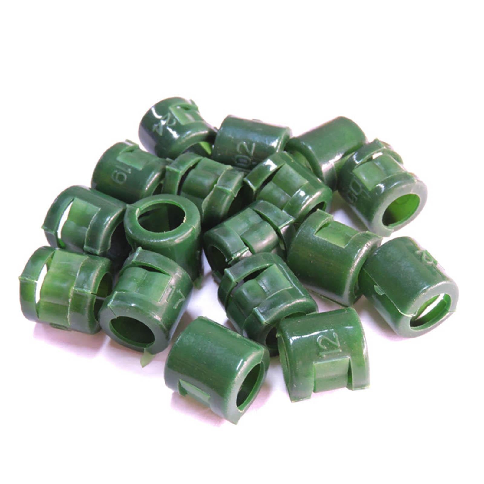 100Pcs Birds Foot Bands Competition Pigeon Clip On Leg Rings Dark Green