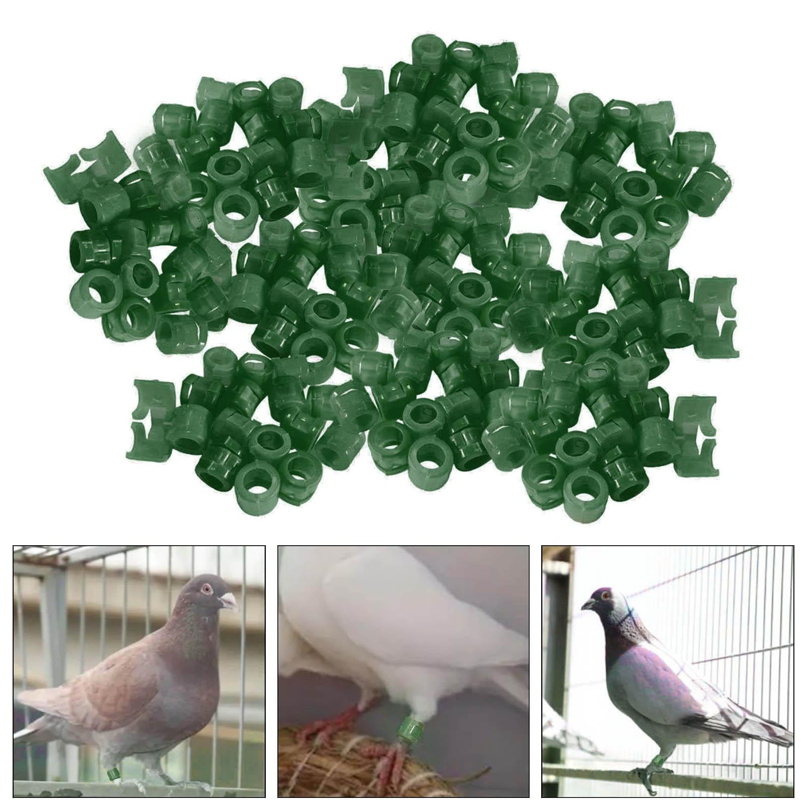 100Pcs Birds Foot Bands Competition Pigeon Clip On Leg Rings Dark Green