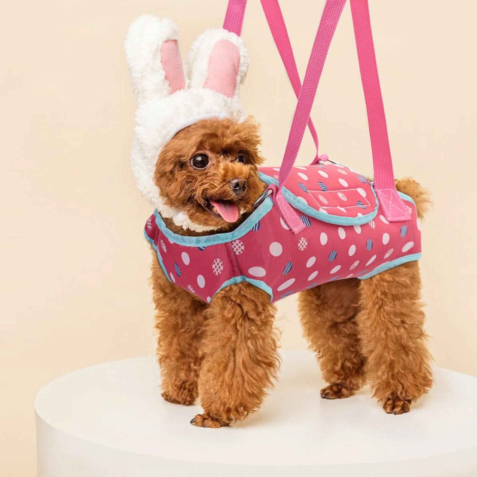 Hands Free Carrier Backpack Comfortable Pet Slings Bag for Camping S