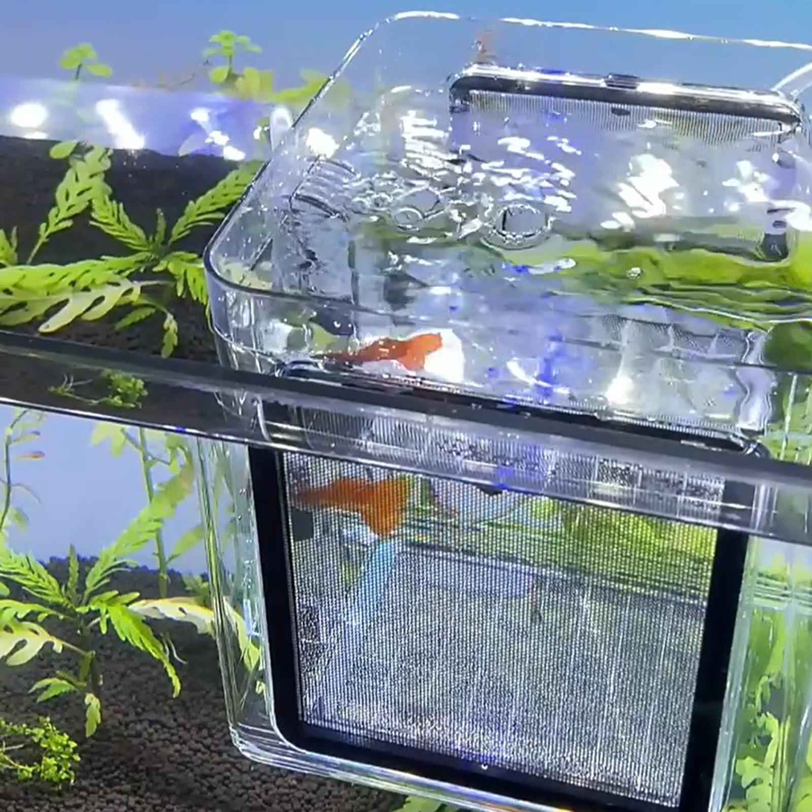 Aquarium Fish Breeding Box Fish Tank Hatching Incubator for Aggressive Fish
