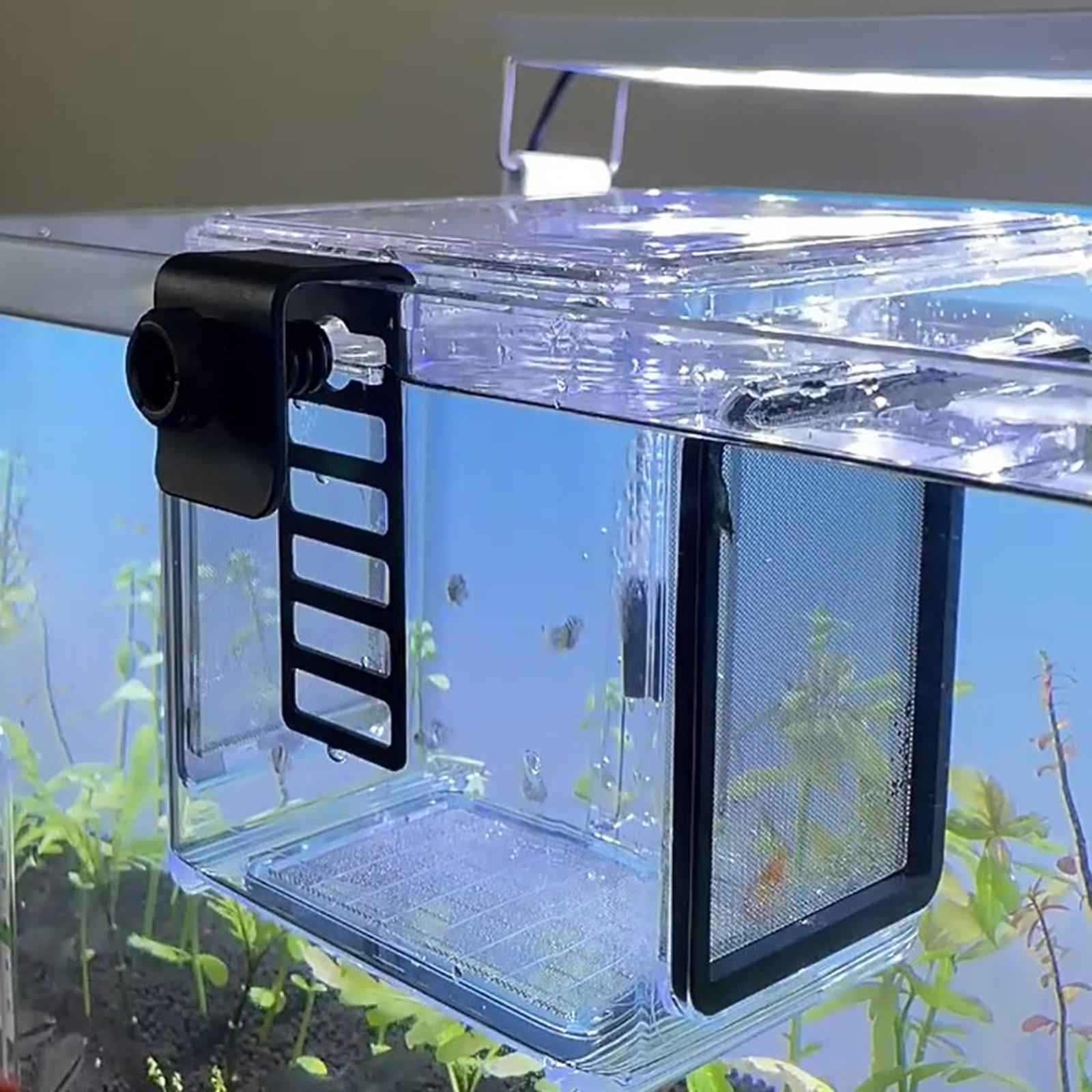 Aquarium Fish Breeding Box Fish Tank Hatching Incubator for Aggressive Fish