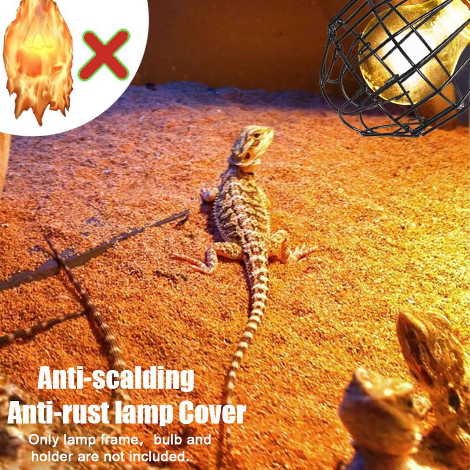Reptile Heating Anti Scald Lamp Bulb for Bird